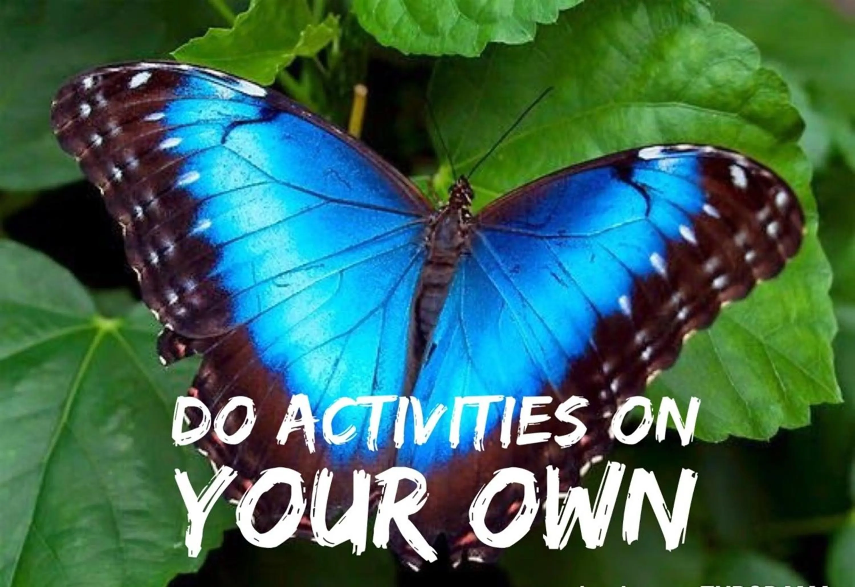 Area and facilities in Hotel La Choza Inn