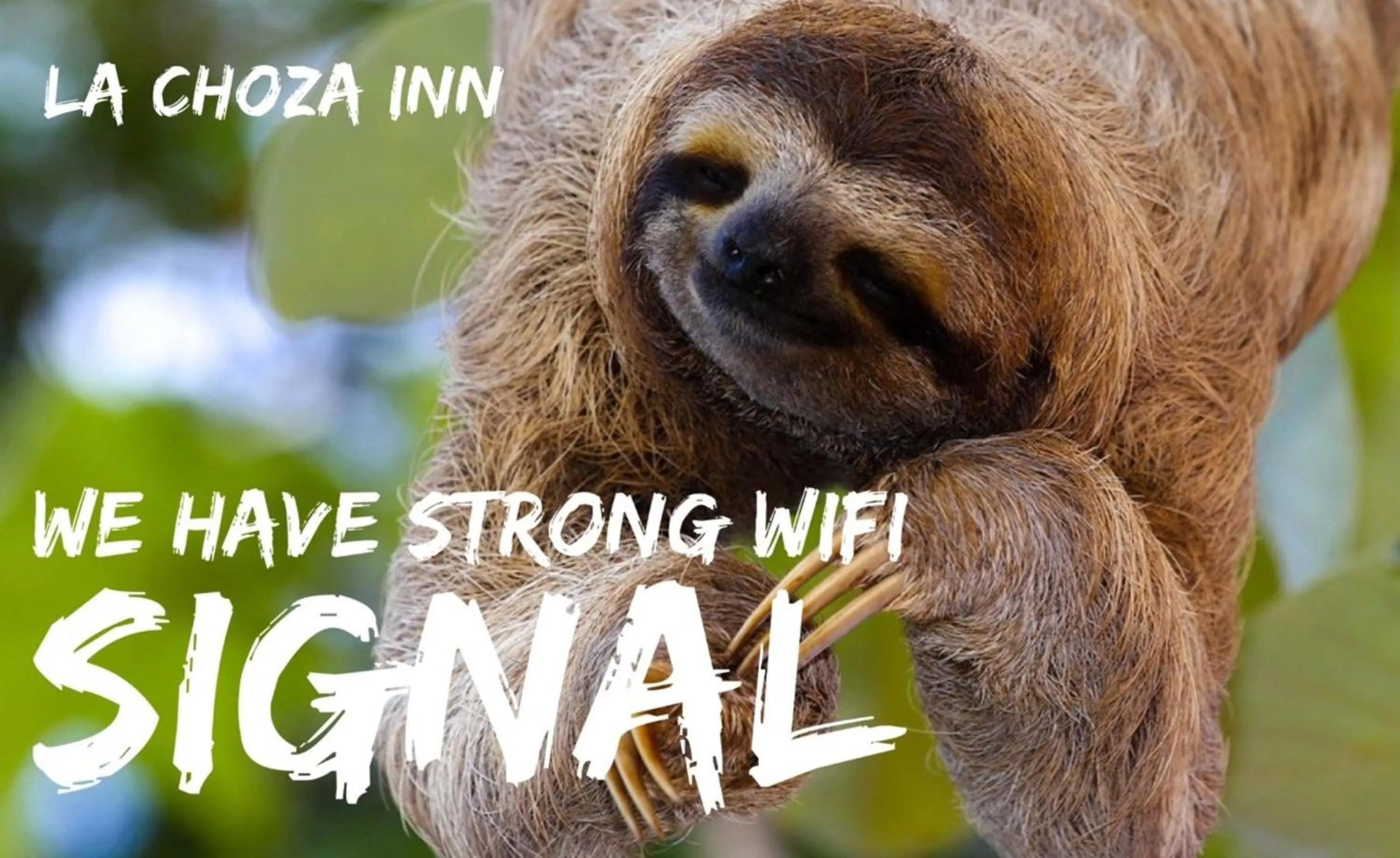 Area and facilities in Hotel La Choza Inn