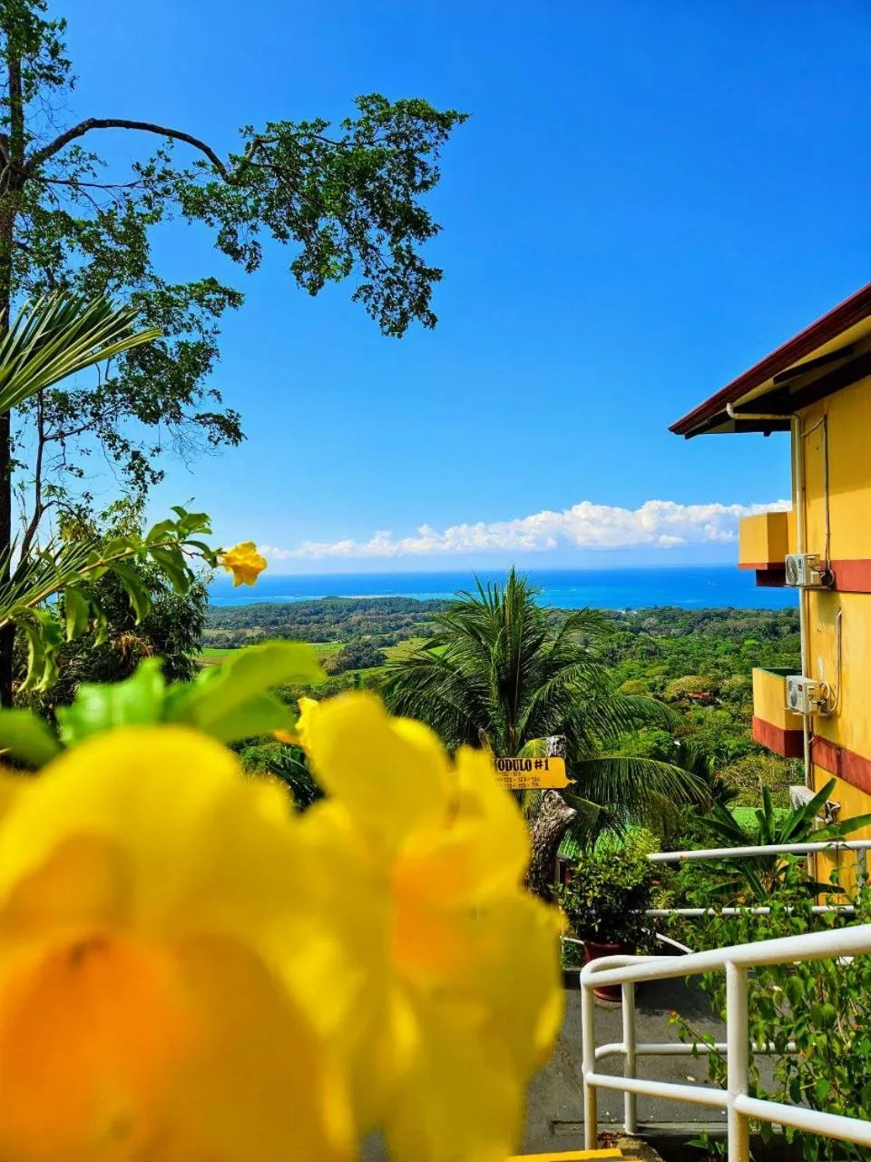 Balcony/Terrace in Vista Ballena