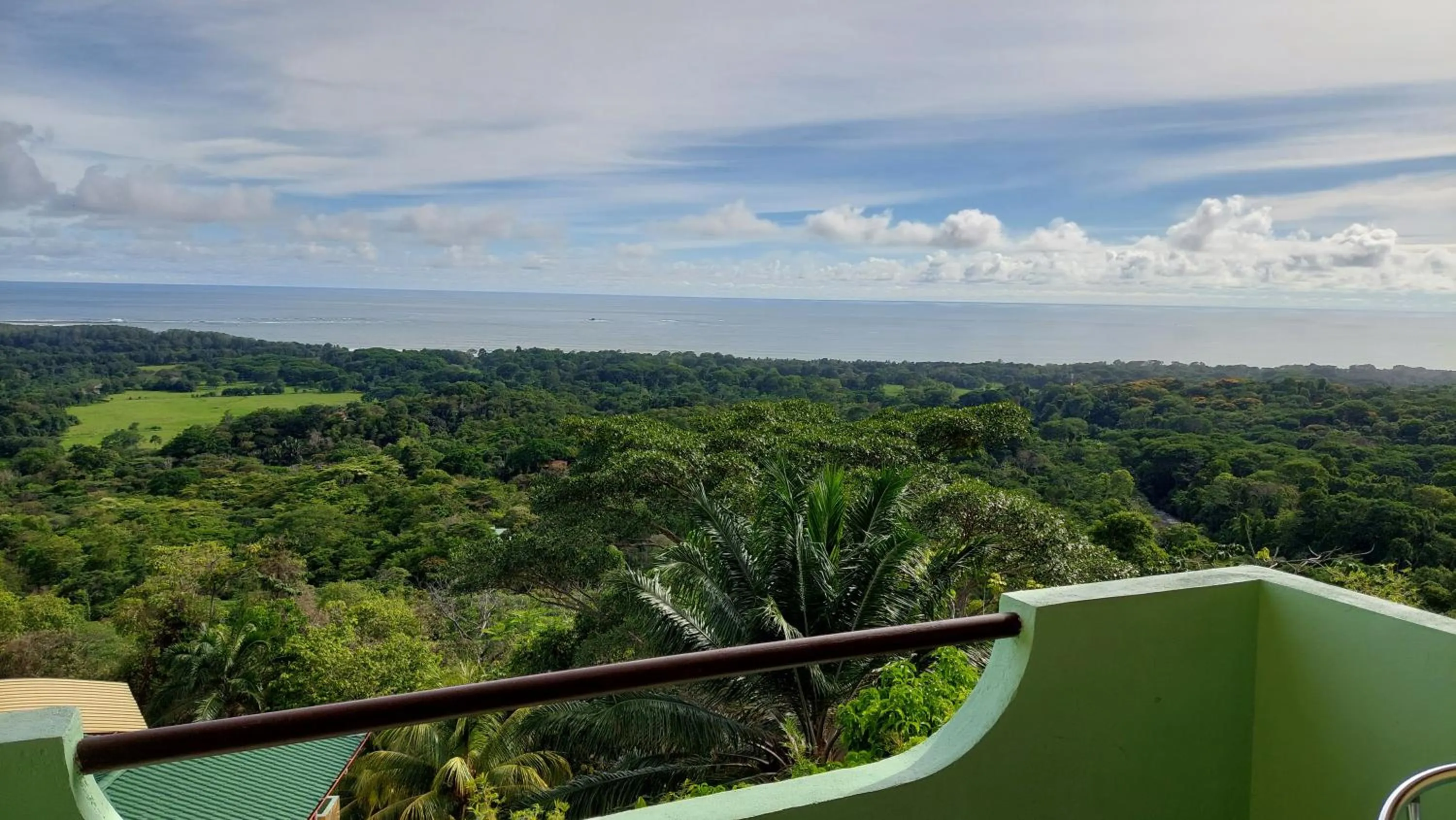 Day in Vista Ballena