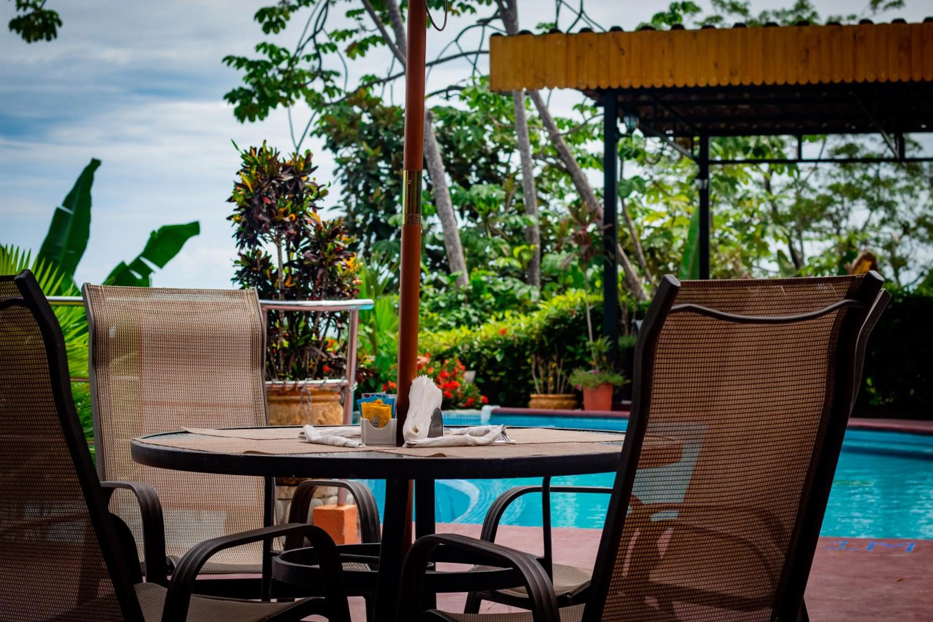 Swimming pool in Vista Ballena