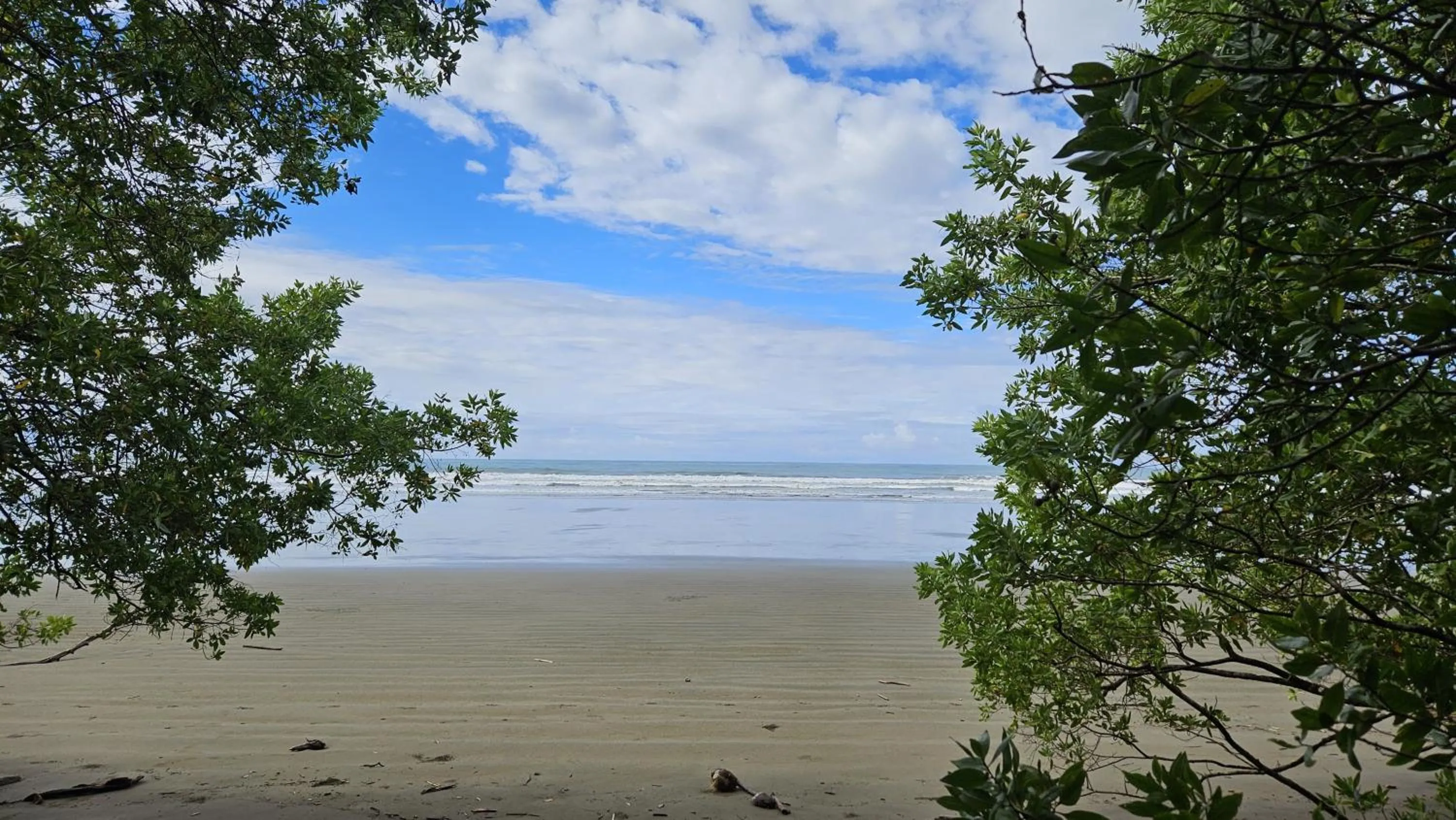 Natural landscape in Vista Ballena