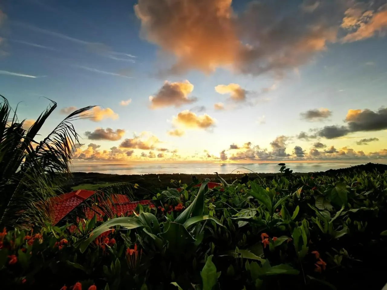 Natural landscape in Vista Ballena