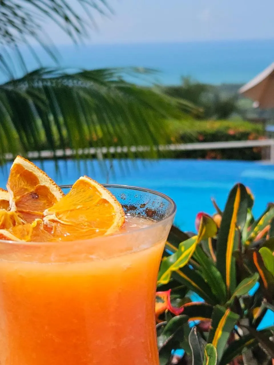 Natural landscape in Vista Ballena