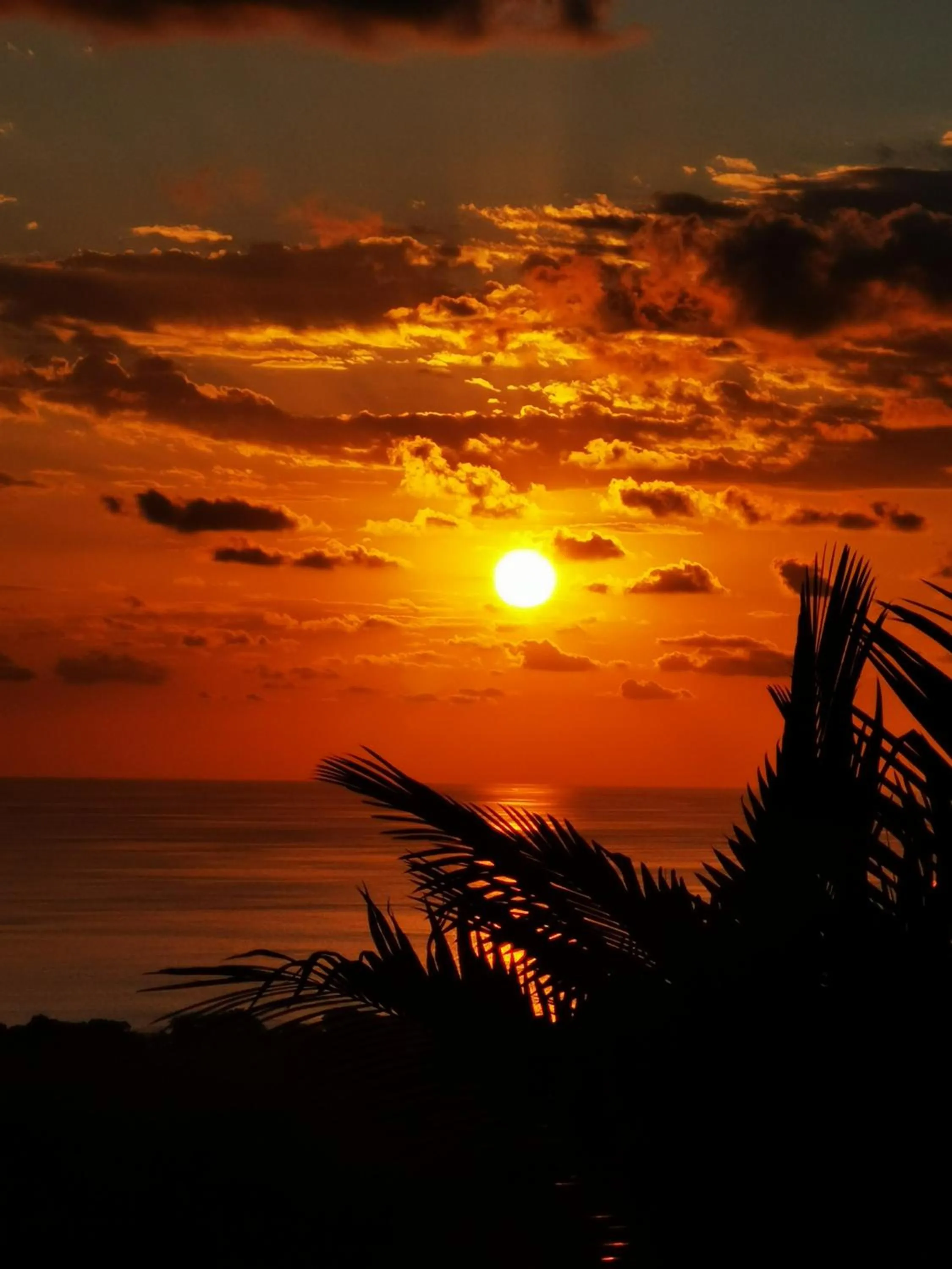 Sunset in Vista Ballena