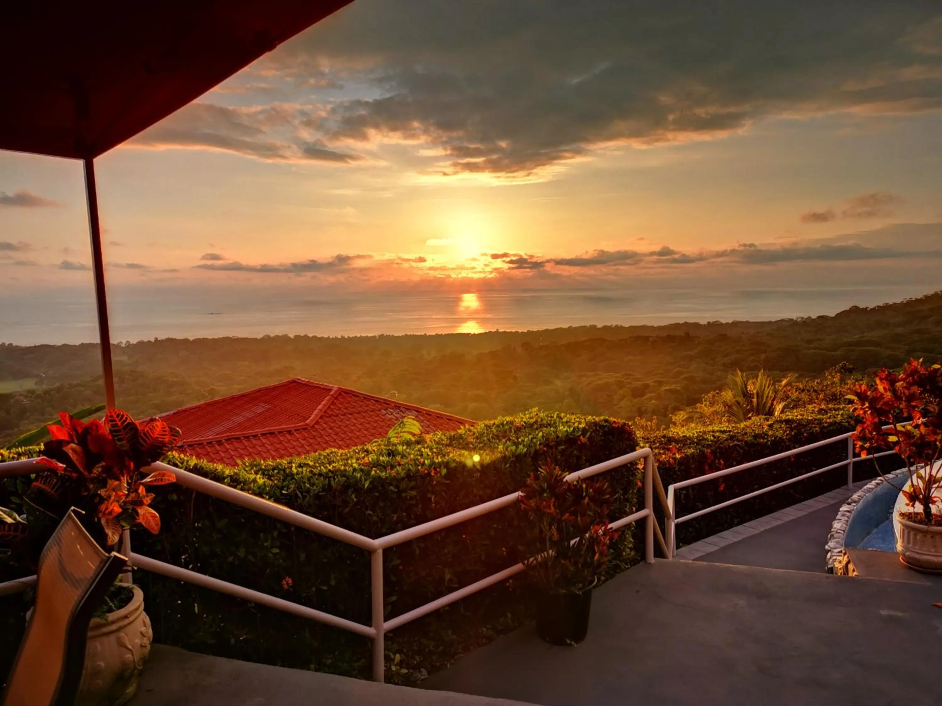 Day in Vista Ballena