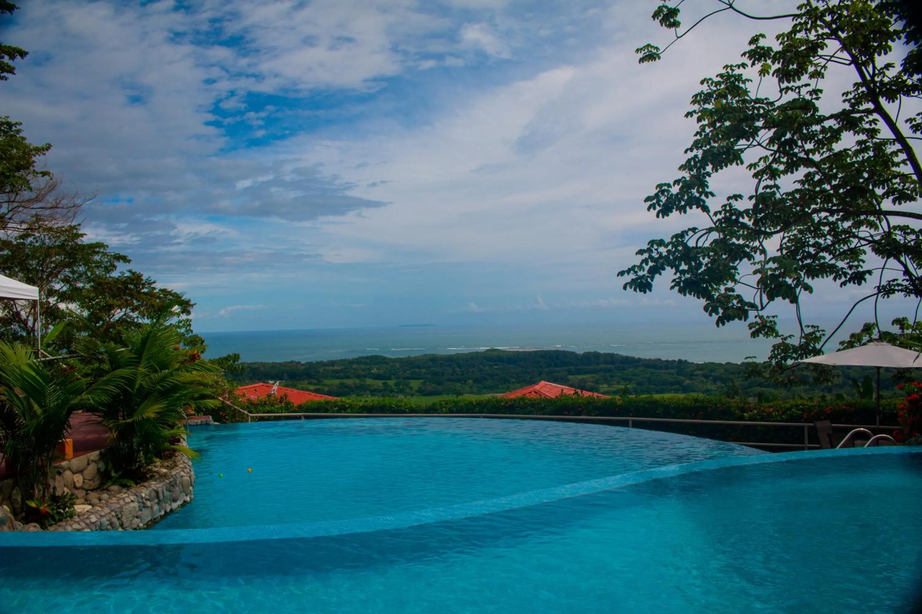 Swimming pool in Vista Ballena
