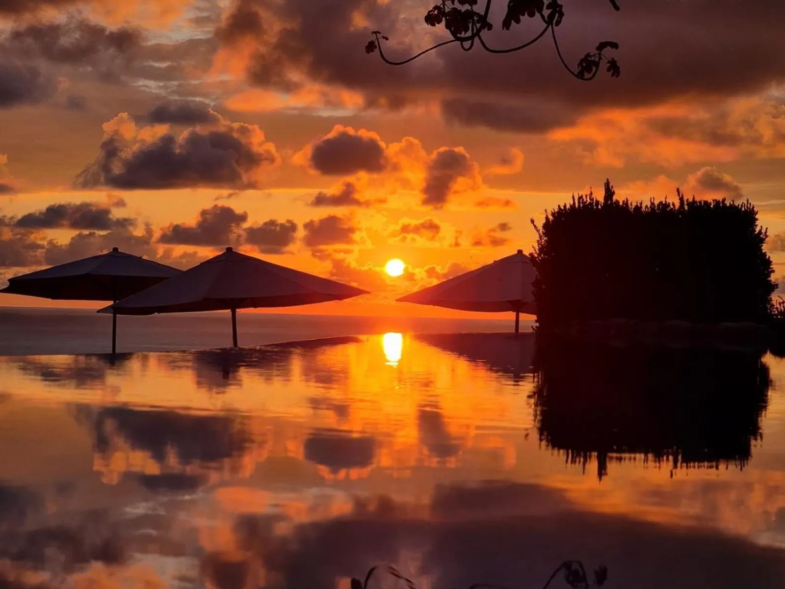 Balcony/Terrace in Vista Ballena