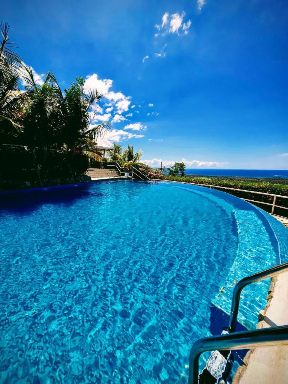 Swimming pool in Vista Ballena