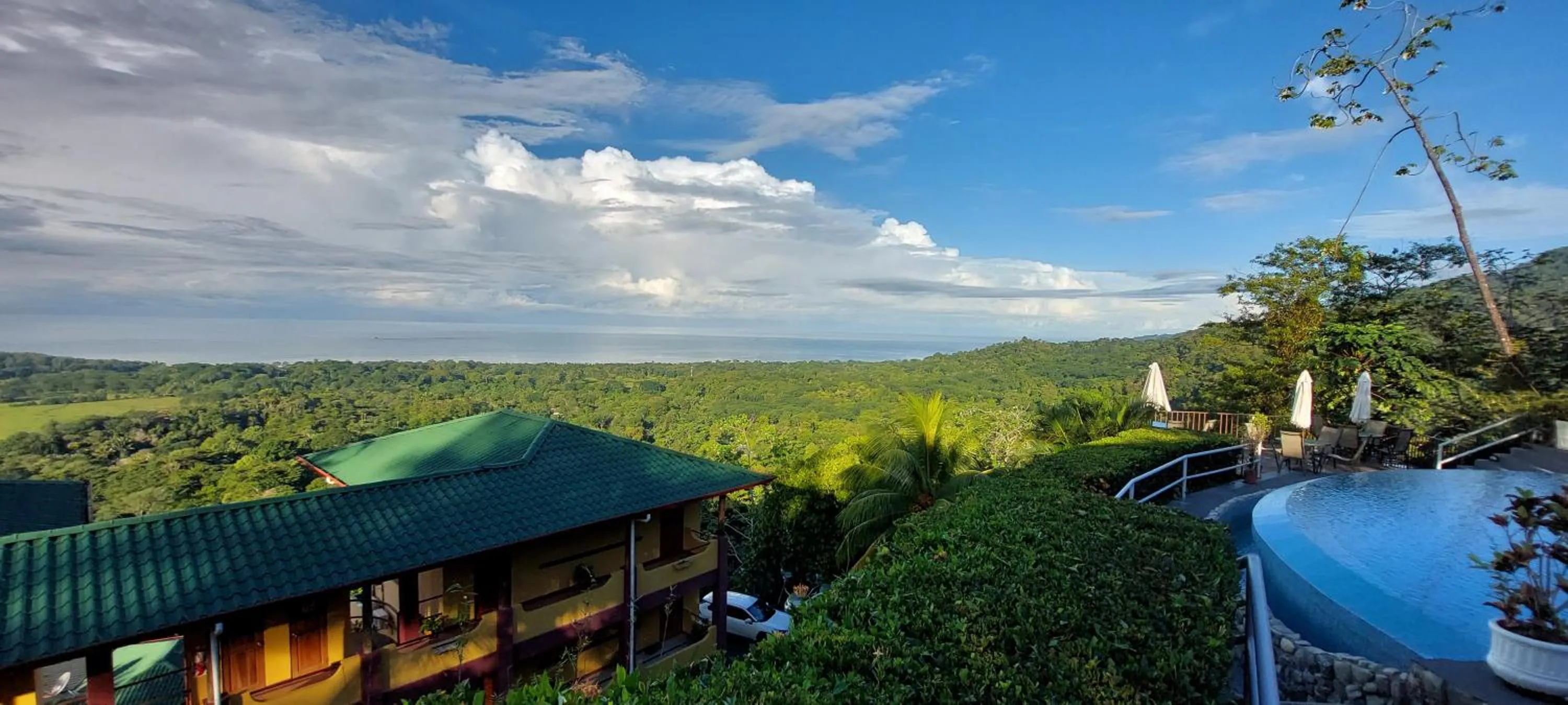 Natural landscape in Vista Ballena