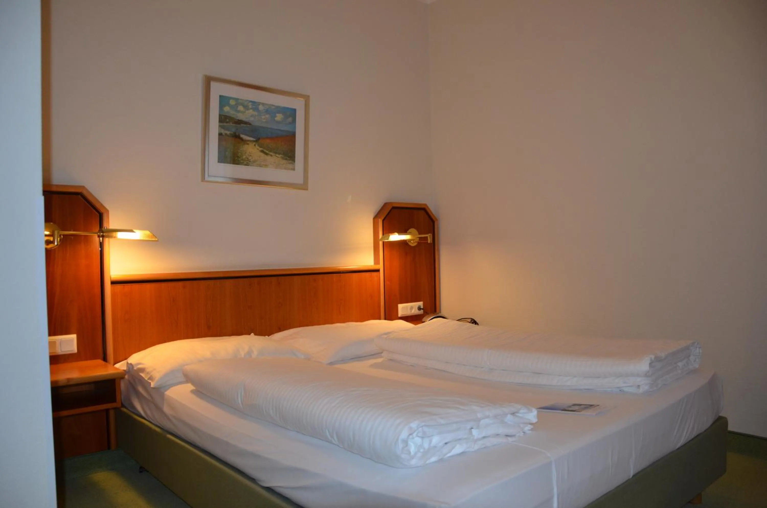 Bed in Hotel Haus am Park