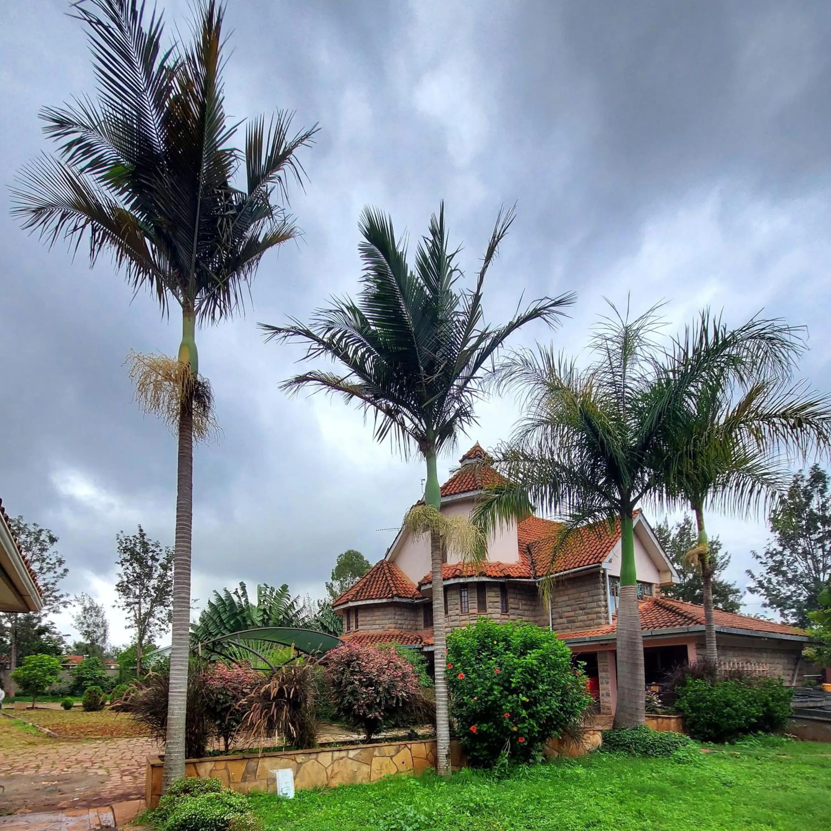 Property building in Edaala Comfort - B&B