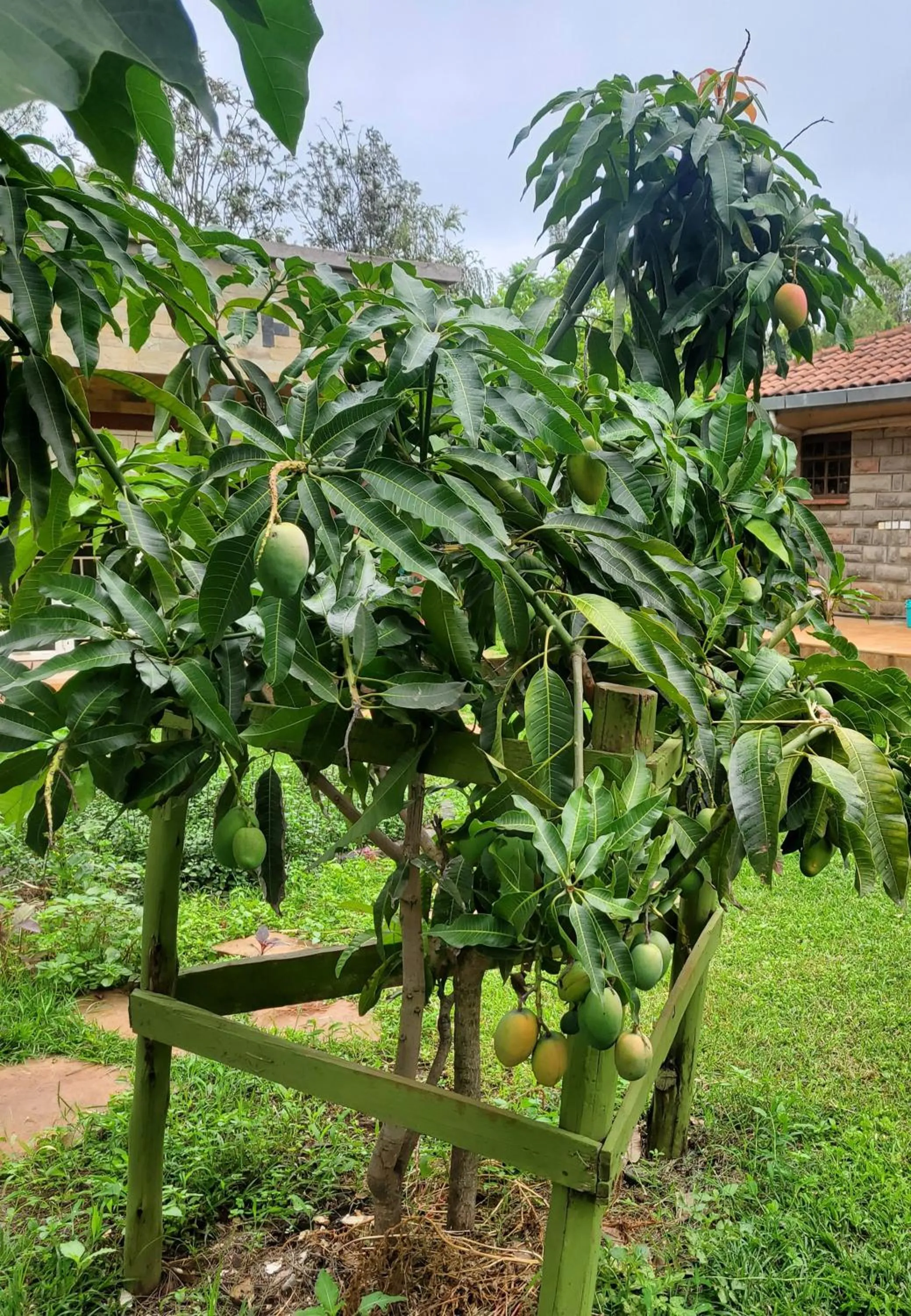 Garden view in Edaala Comfort - B&B