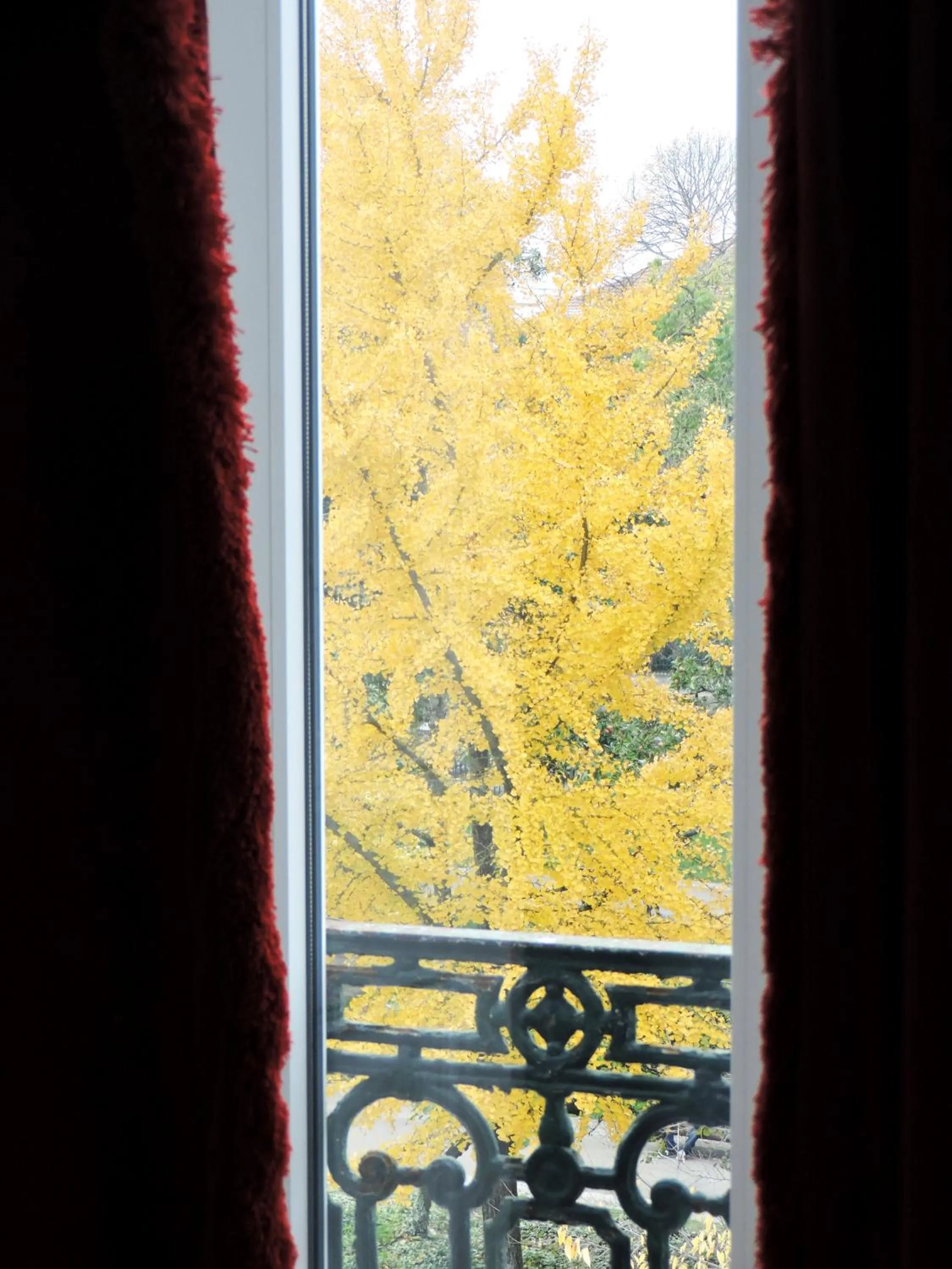 View (from property/room) in Casa Oliver Boutique B&B - Principe Real