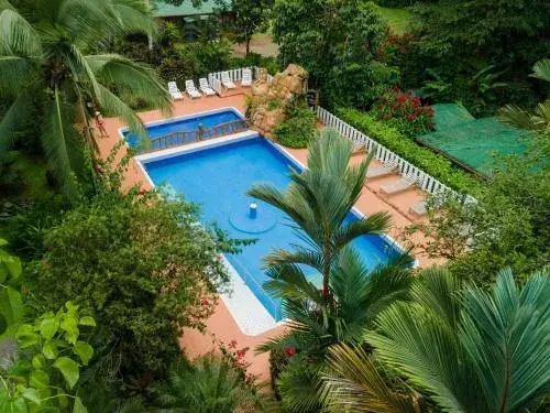 Ara Ambigua Lodge Ara Ambigua Lodge