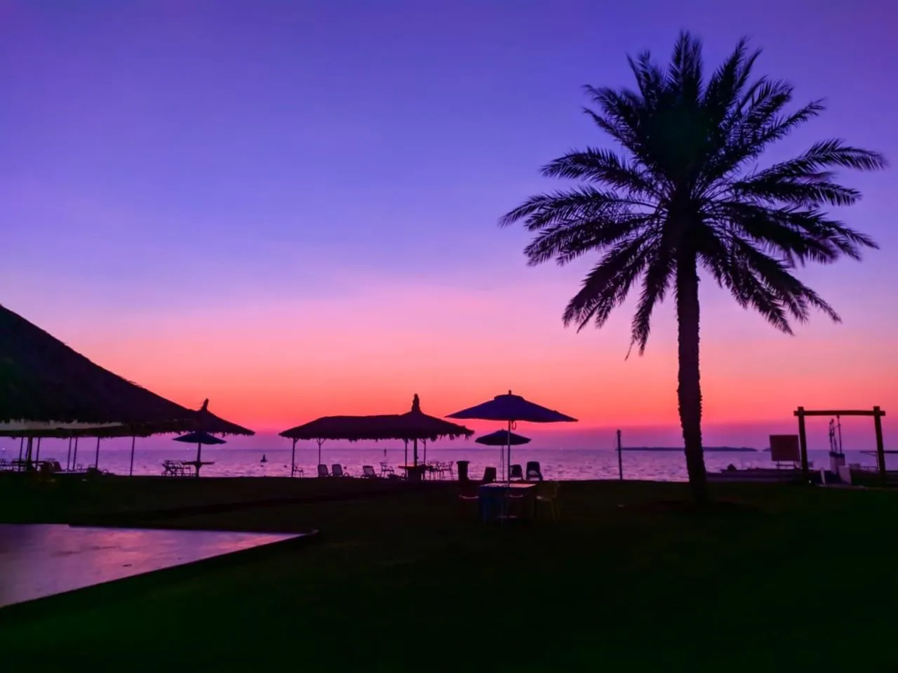 Garden in Flamingo Beach Hotel