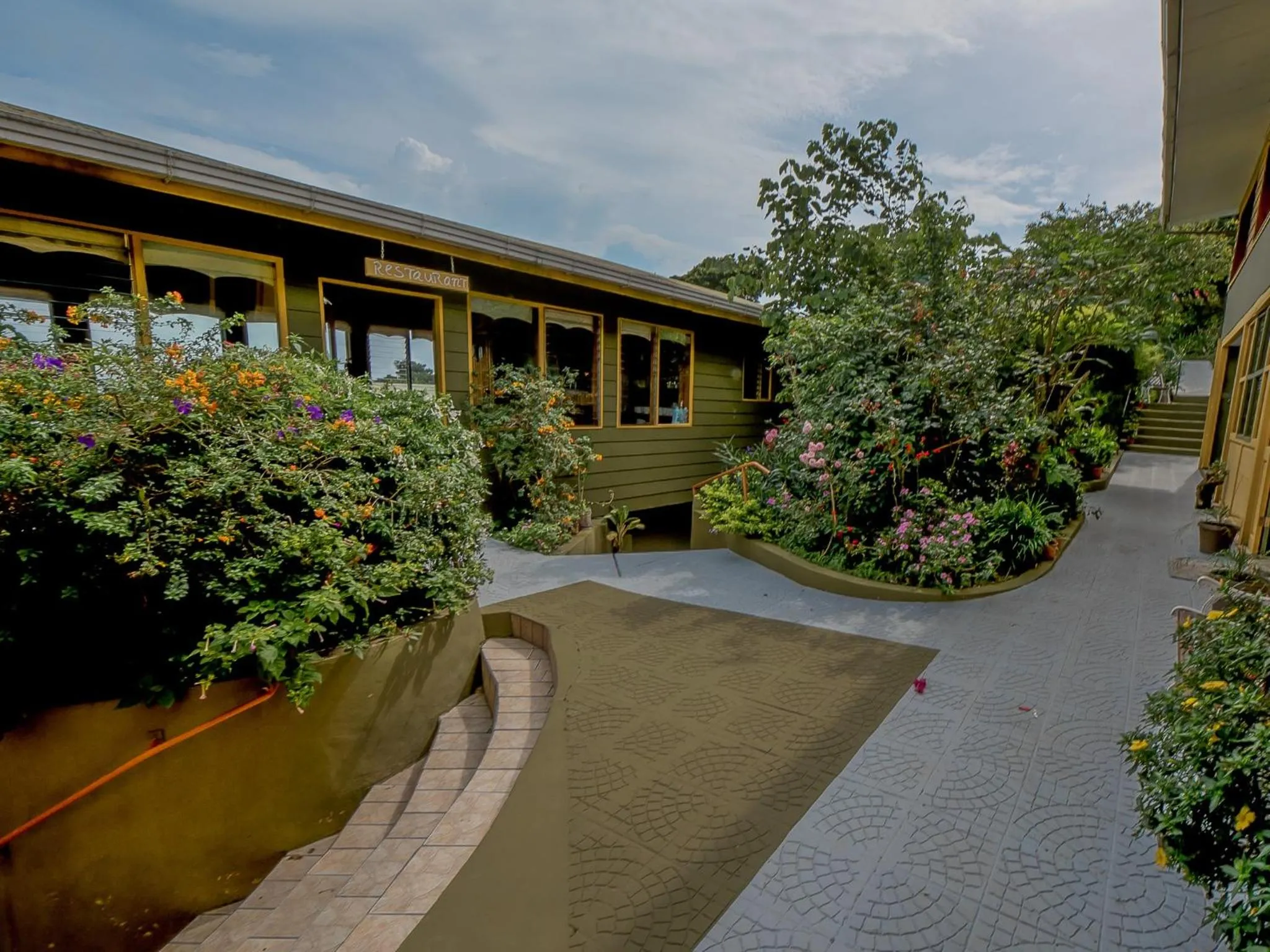 Garden in Hotel Don Taco