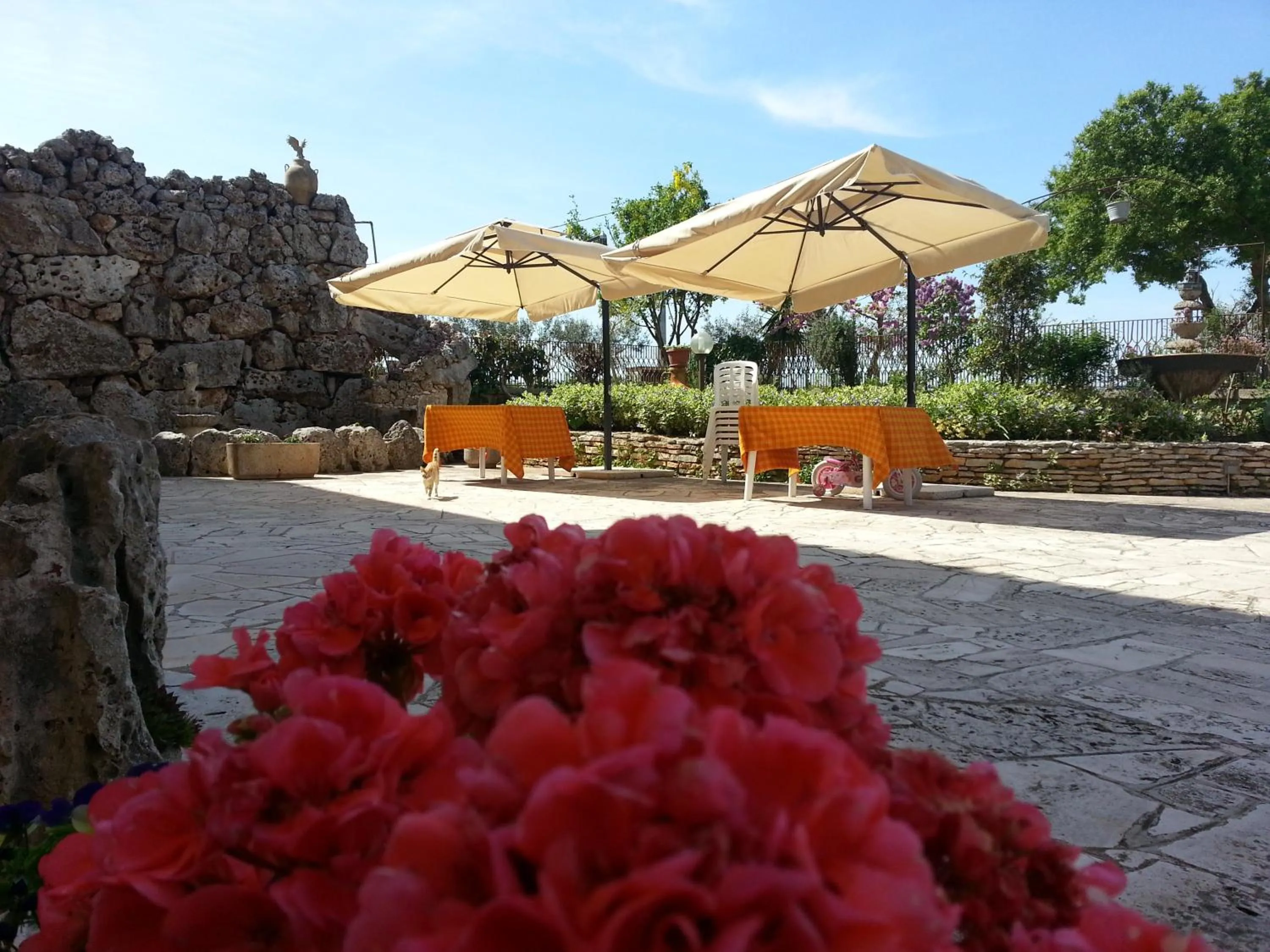 Property building in Barsentello