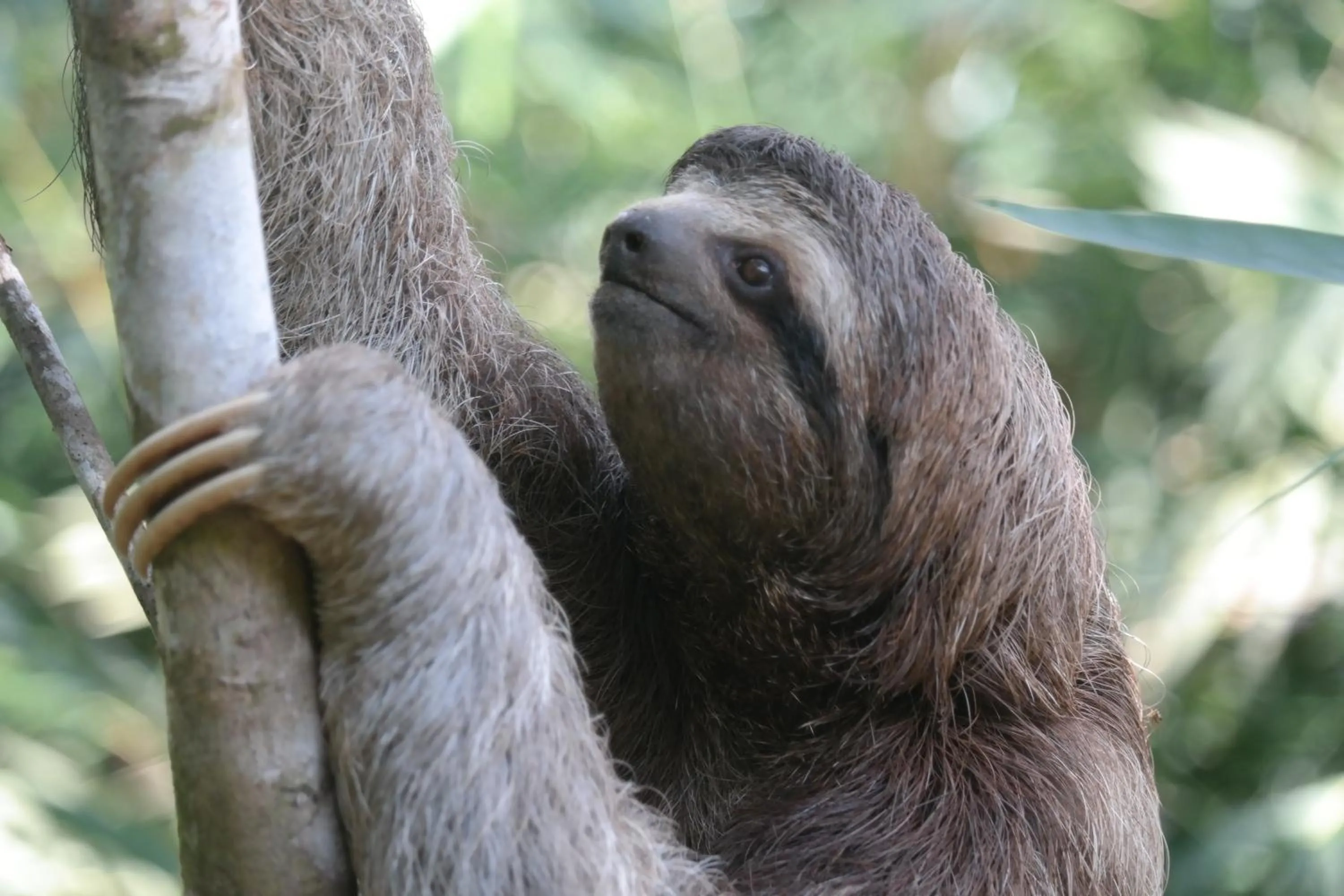 Natural landscape in Ranchos Remo Lodge