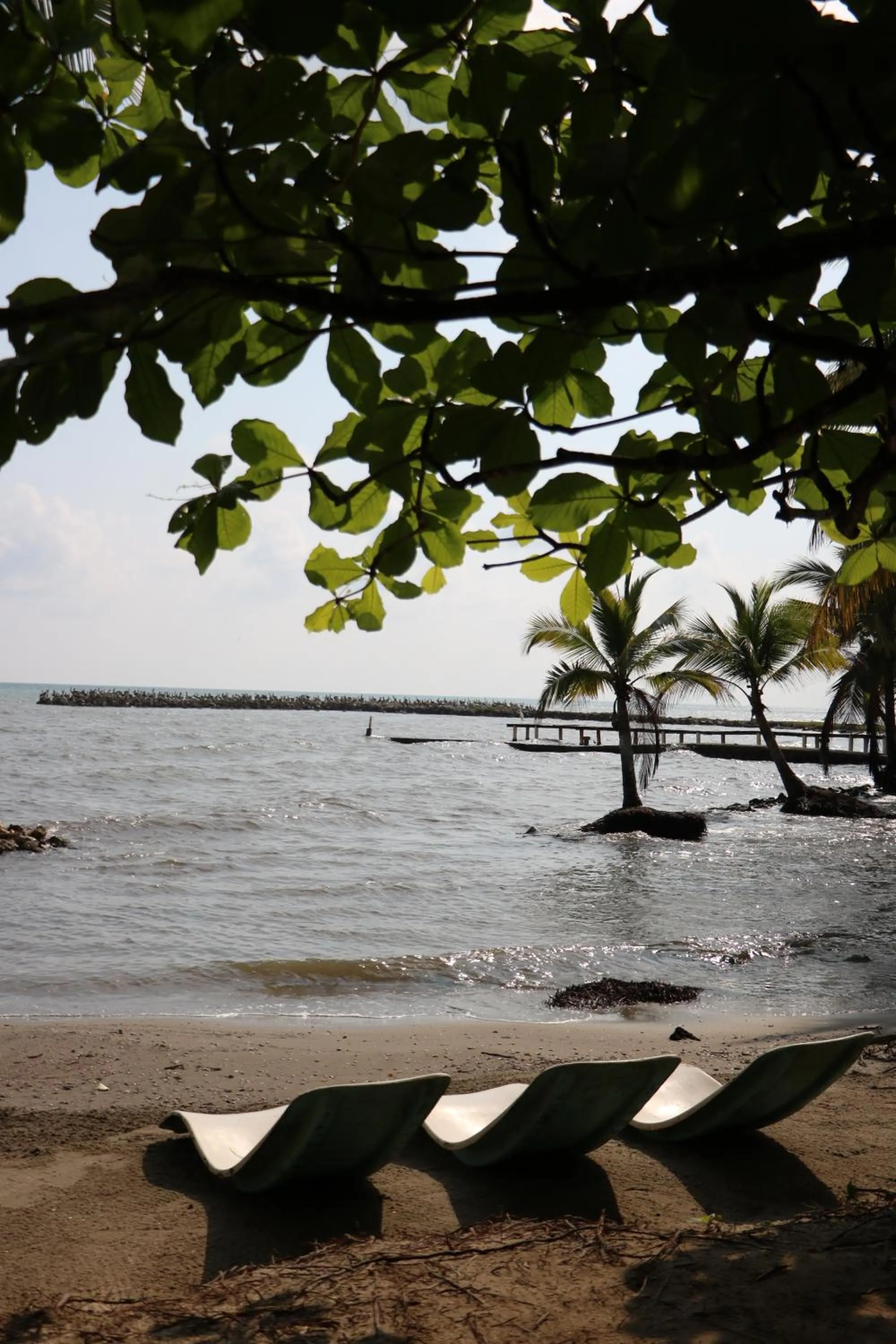 Hotel Salvador Gaviota