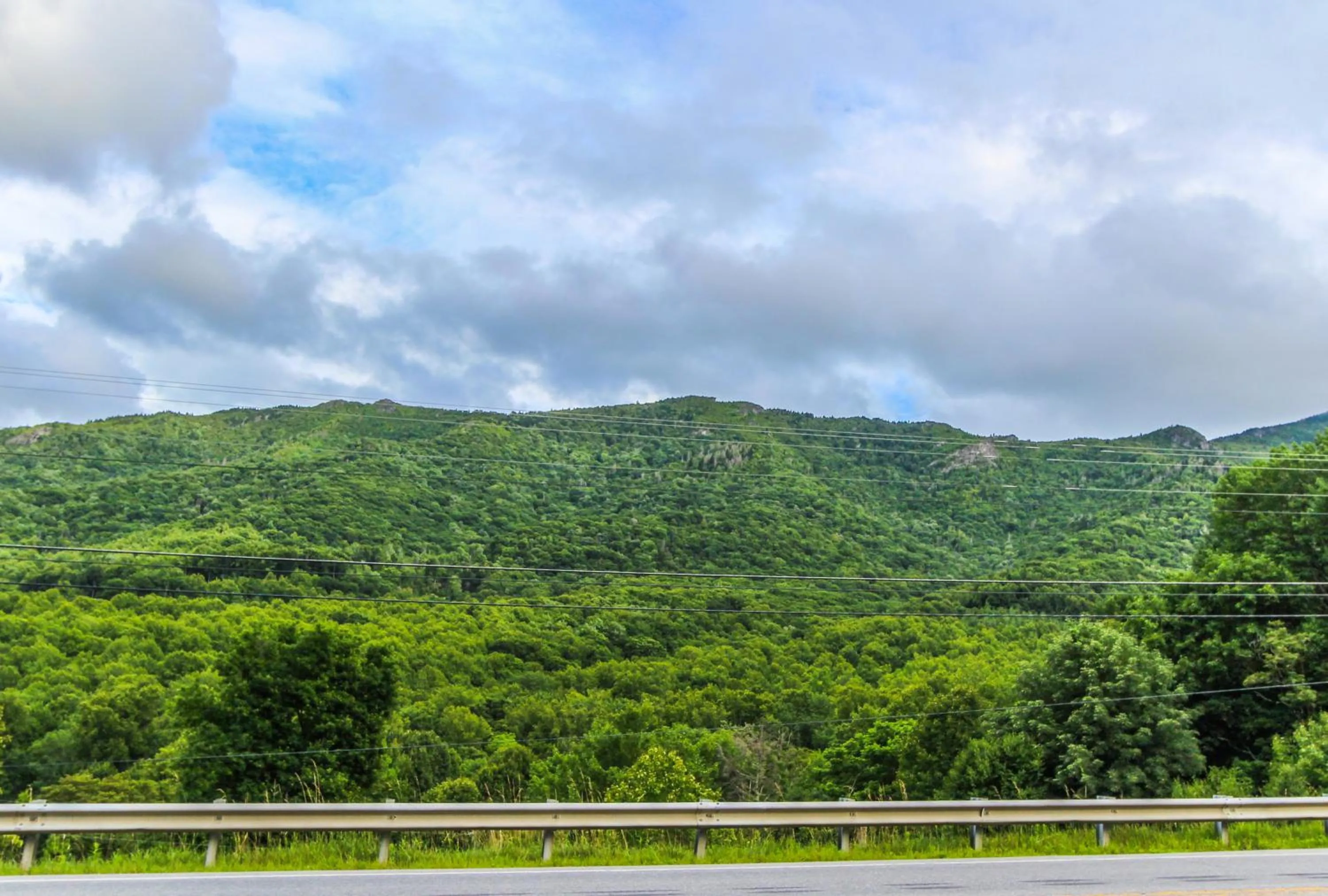 Spring in Smoketree Lodge