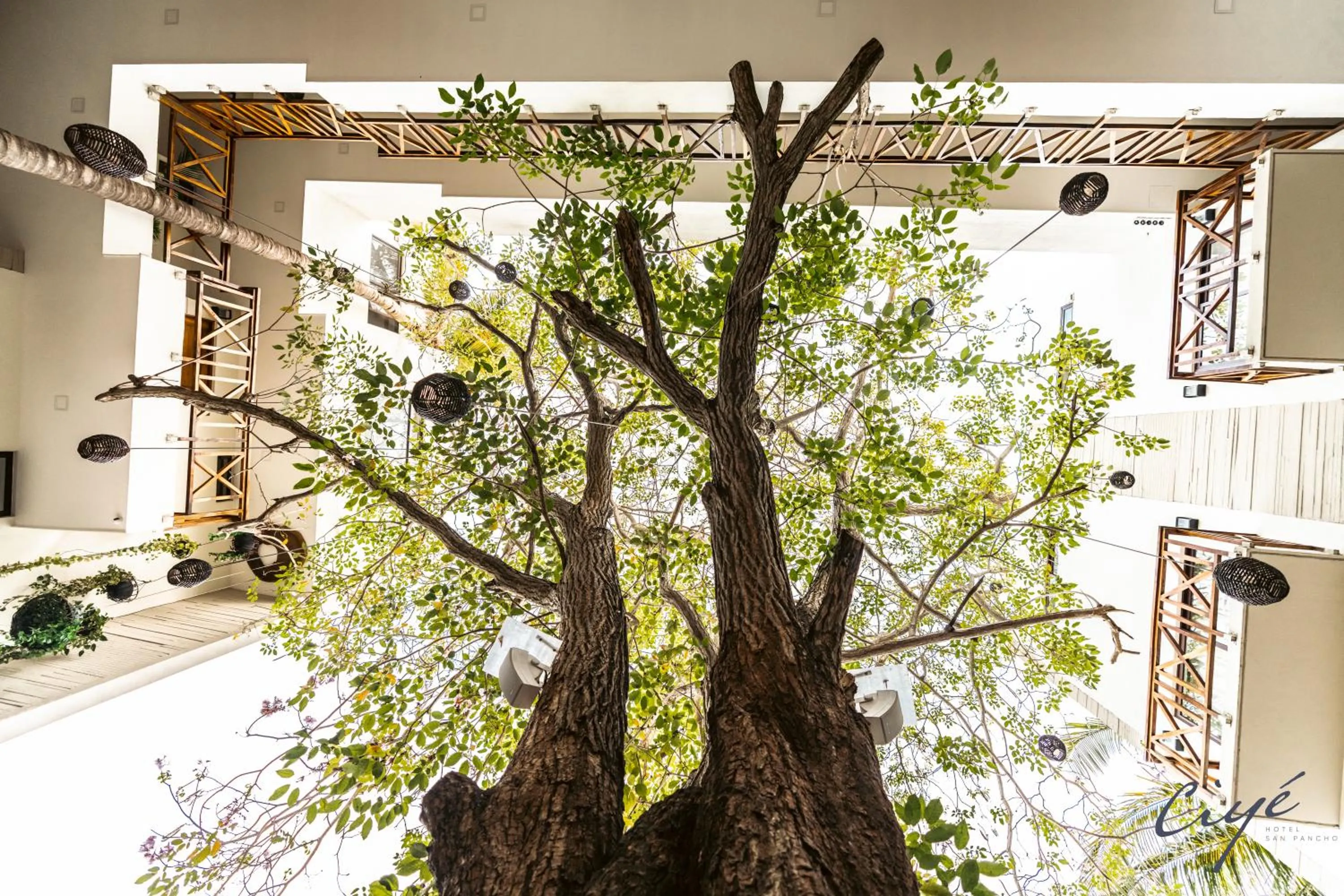 Patio in Ciyé Hotel