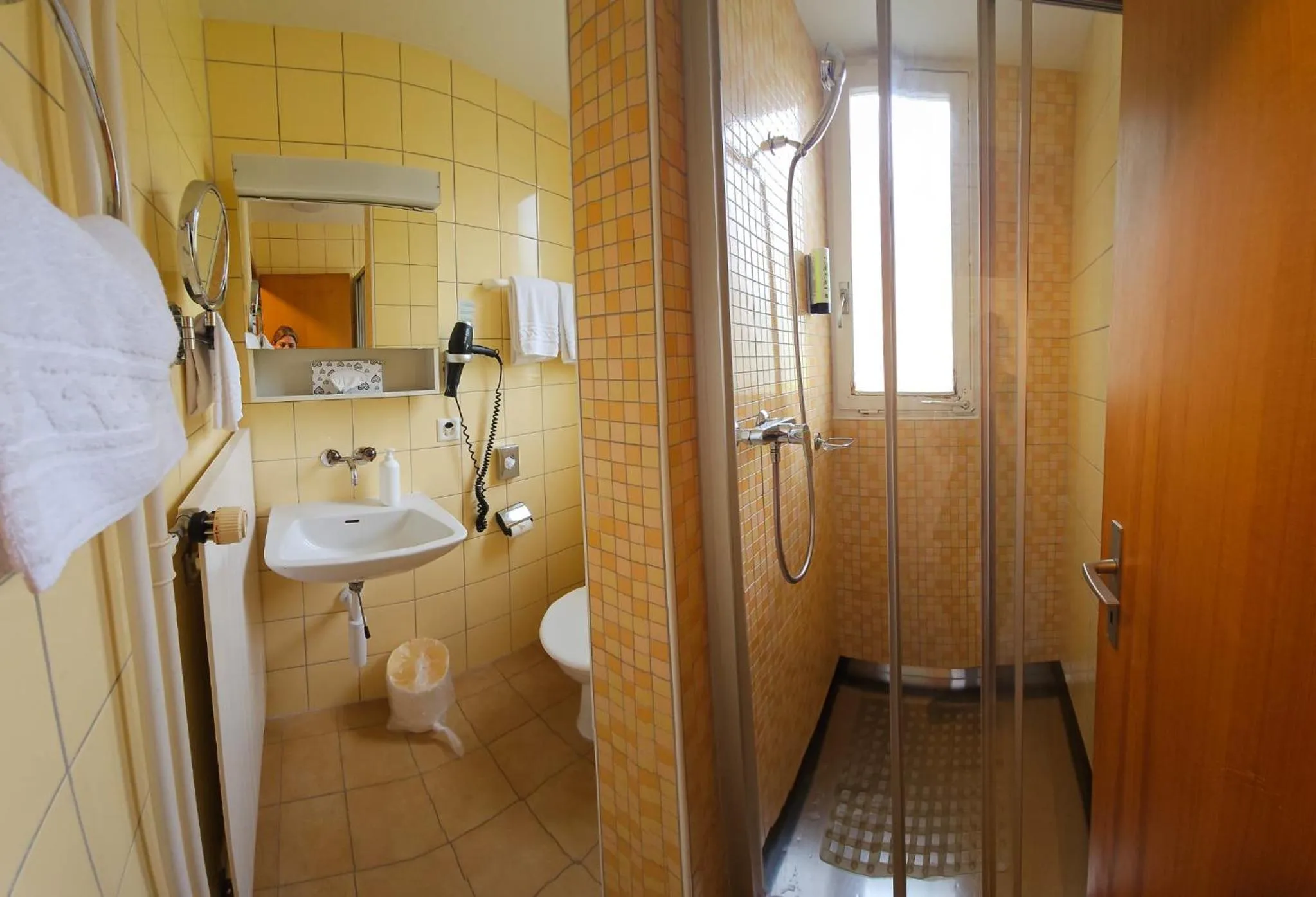 Shower in Hotel Berghof Amaranth