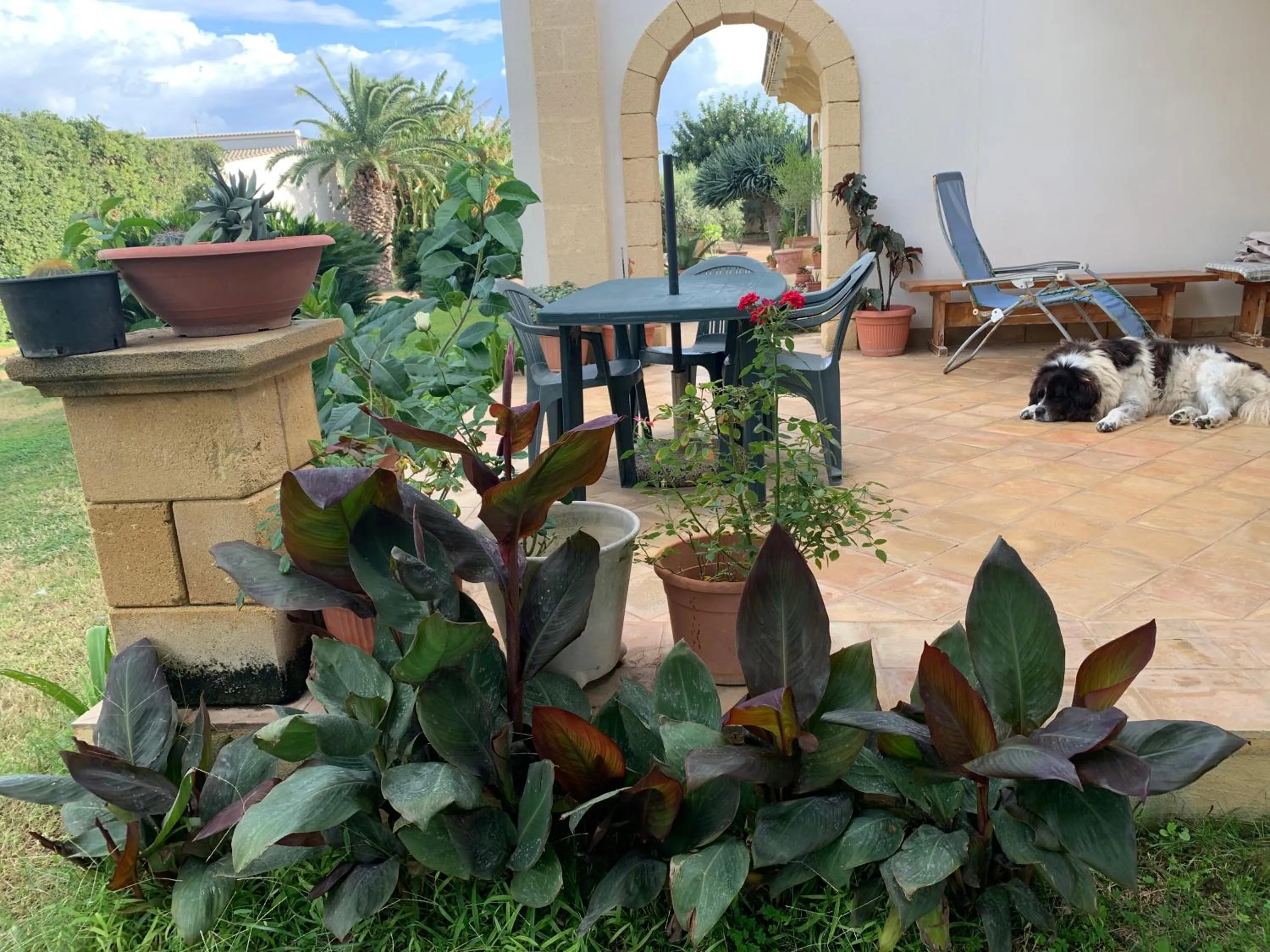 Patio in Villa i Dammusi