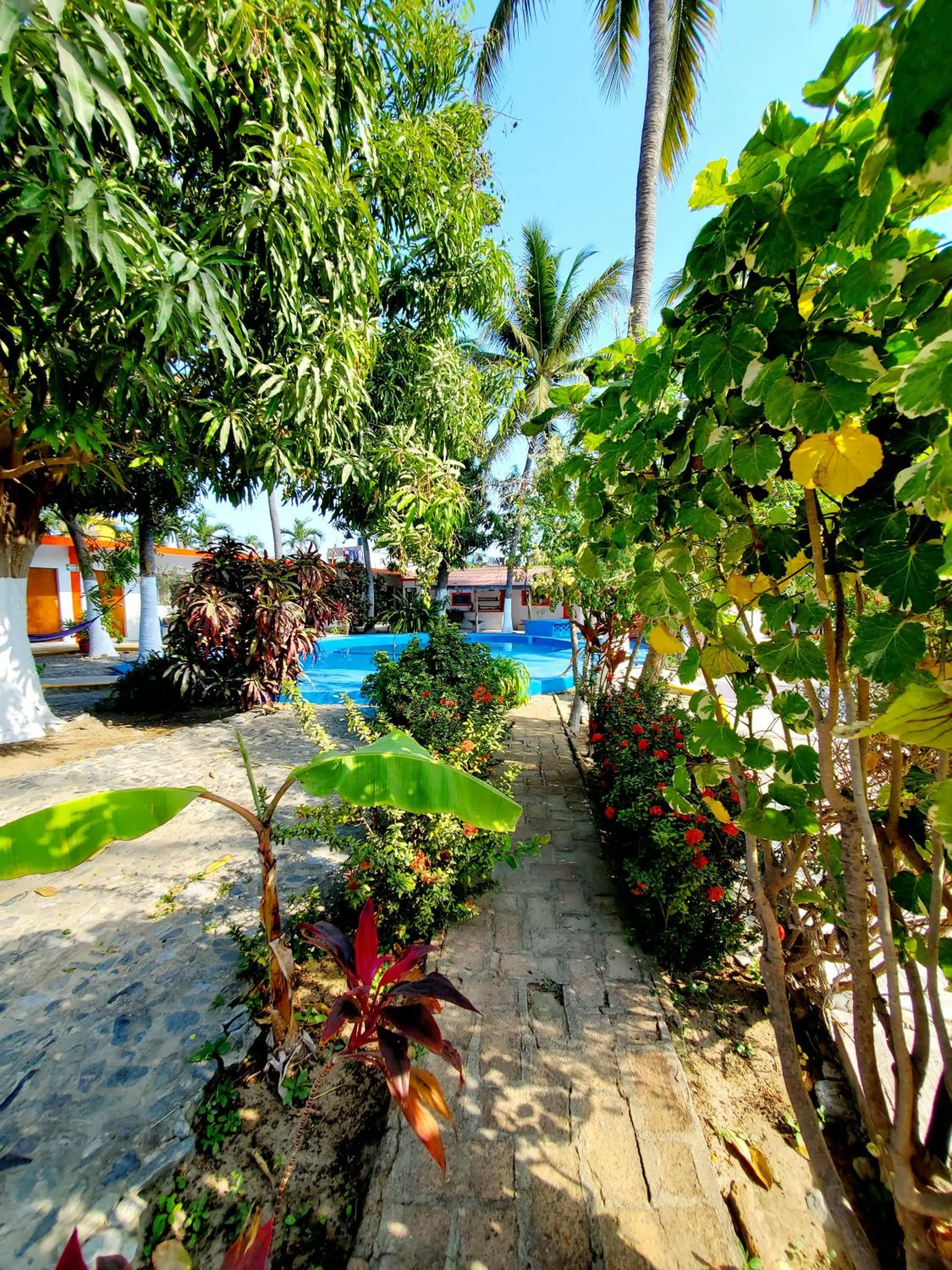 Inner courtyard view in Hotel Oasis Melaque