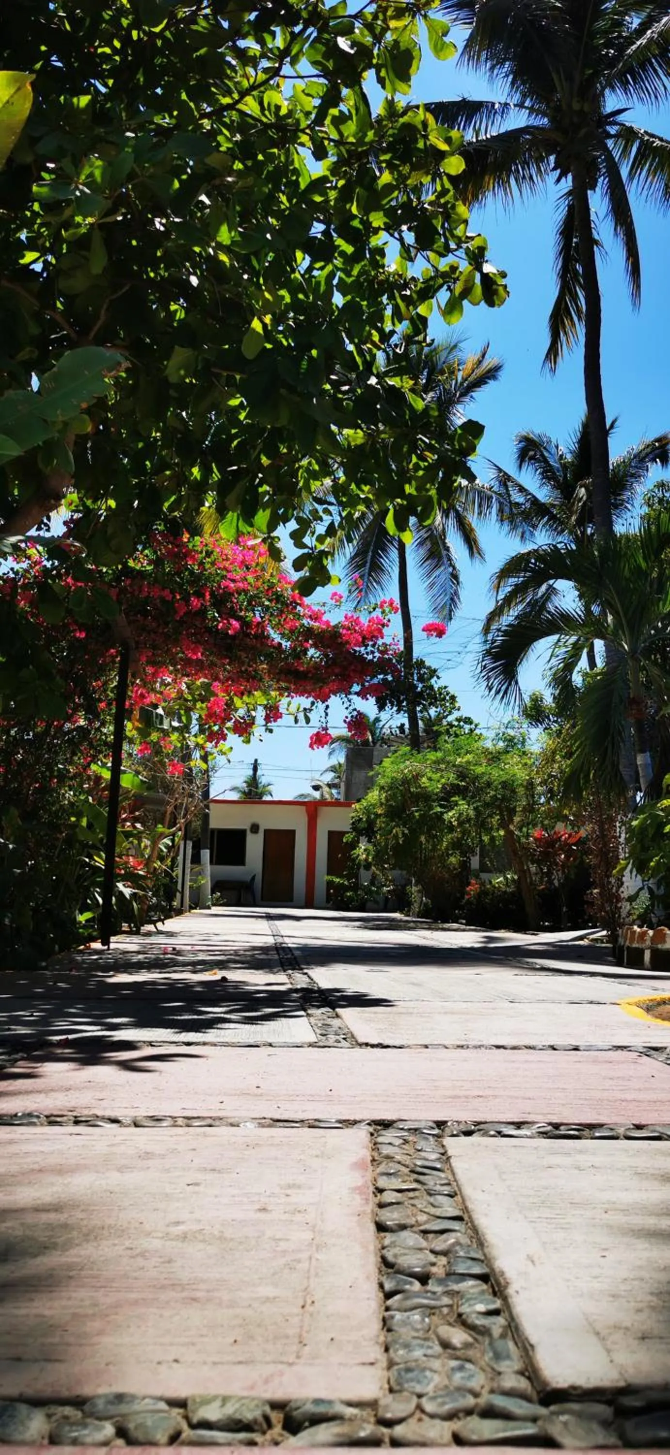 Inner courtyard view in Hotel Oasis Melaque