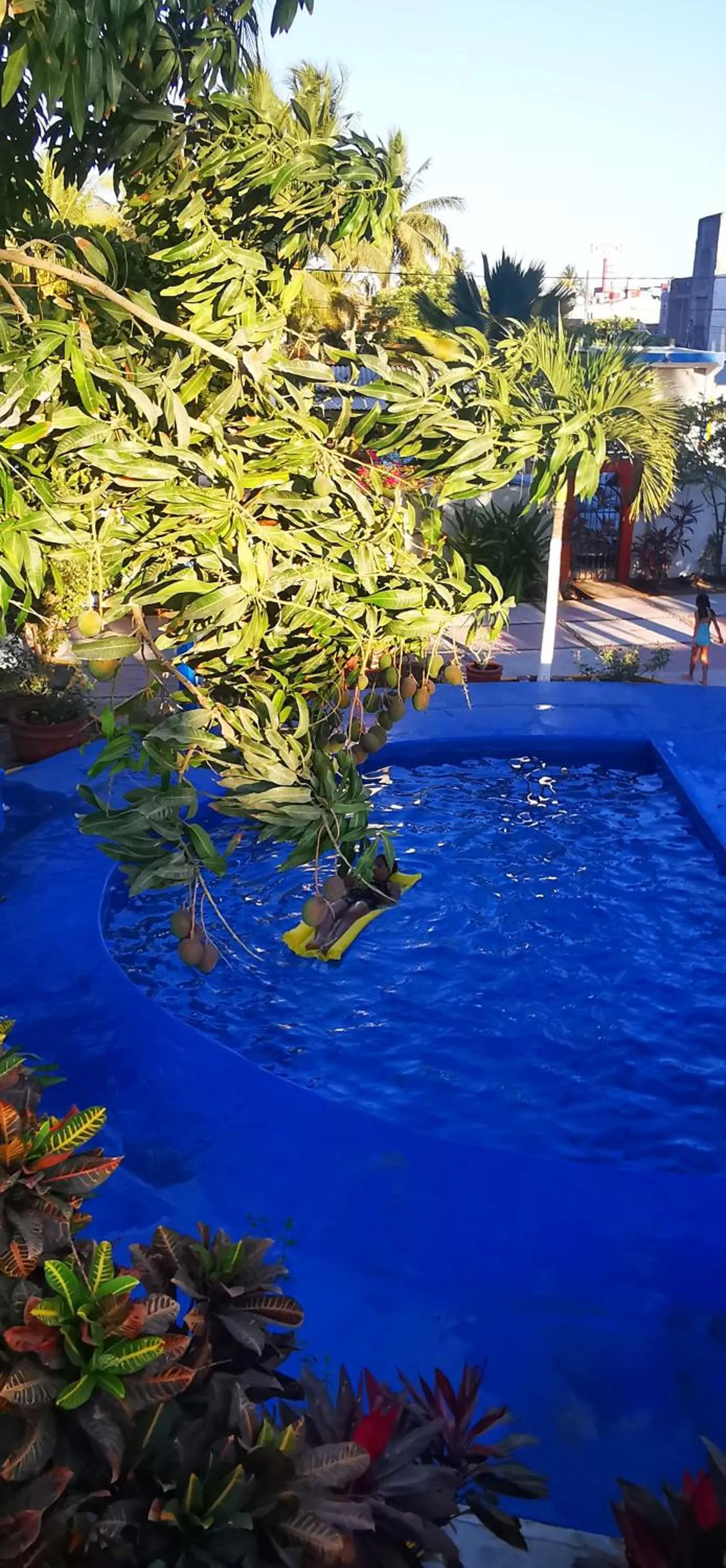 Natural landscape in Hotel Oasis Melaque