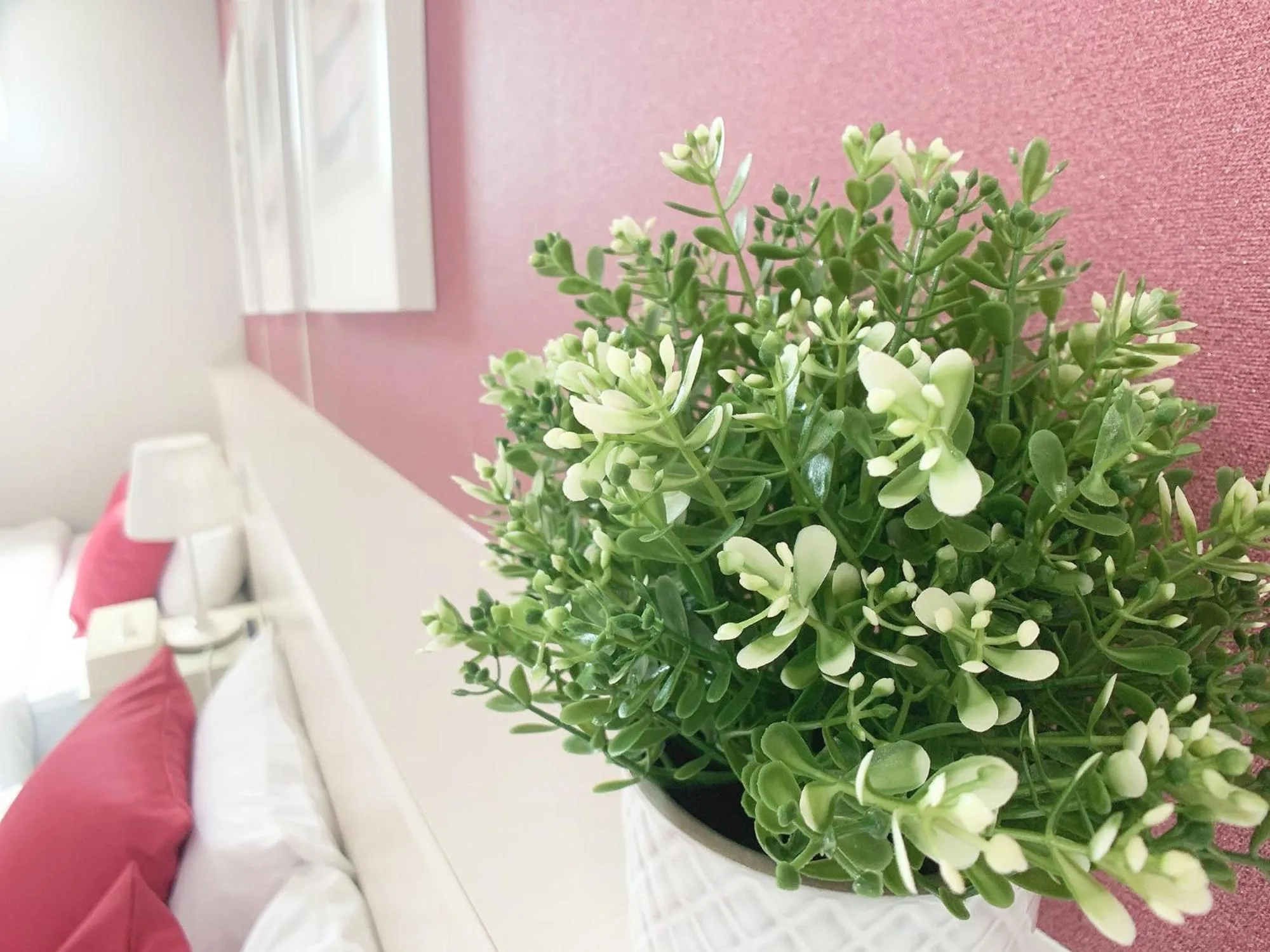 Bar & Hotel Colors MIYAJIMA