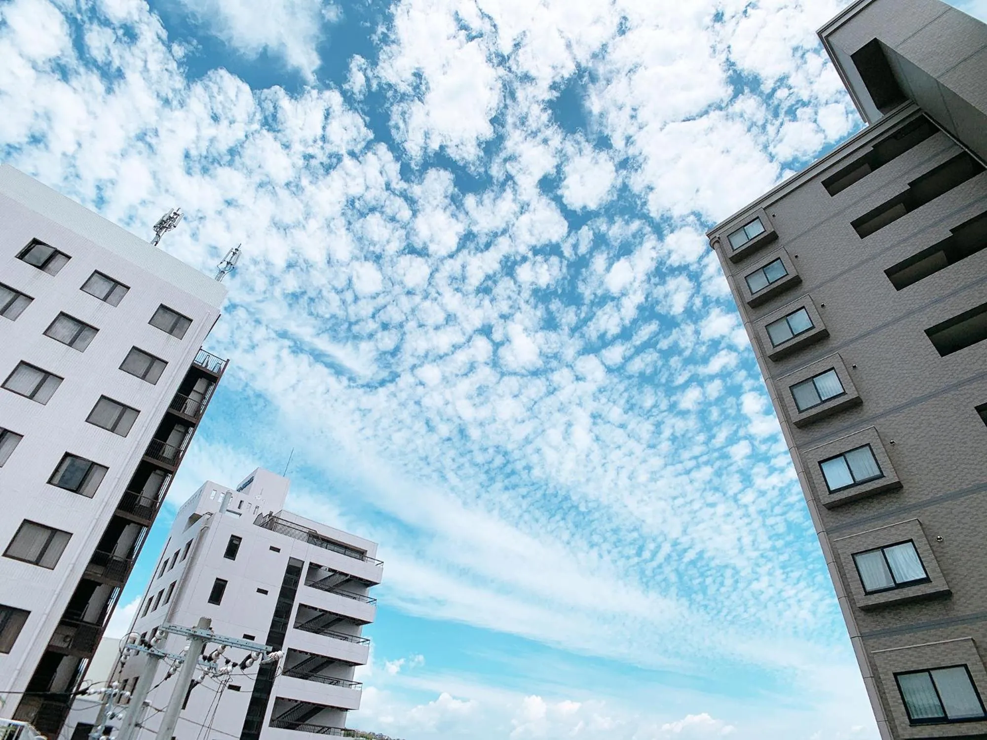 Bar & Hotel Colors MIYAJIMA