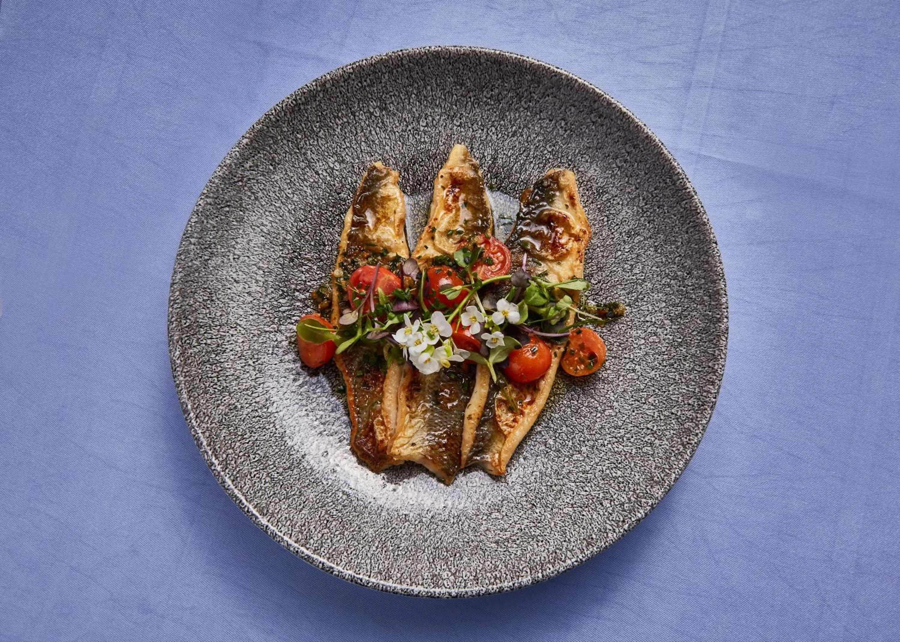 Restaurant/places to eat in Zum Fischer am See ***S