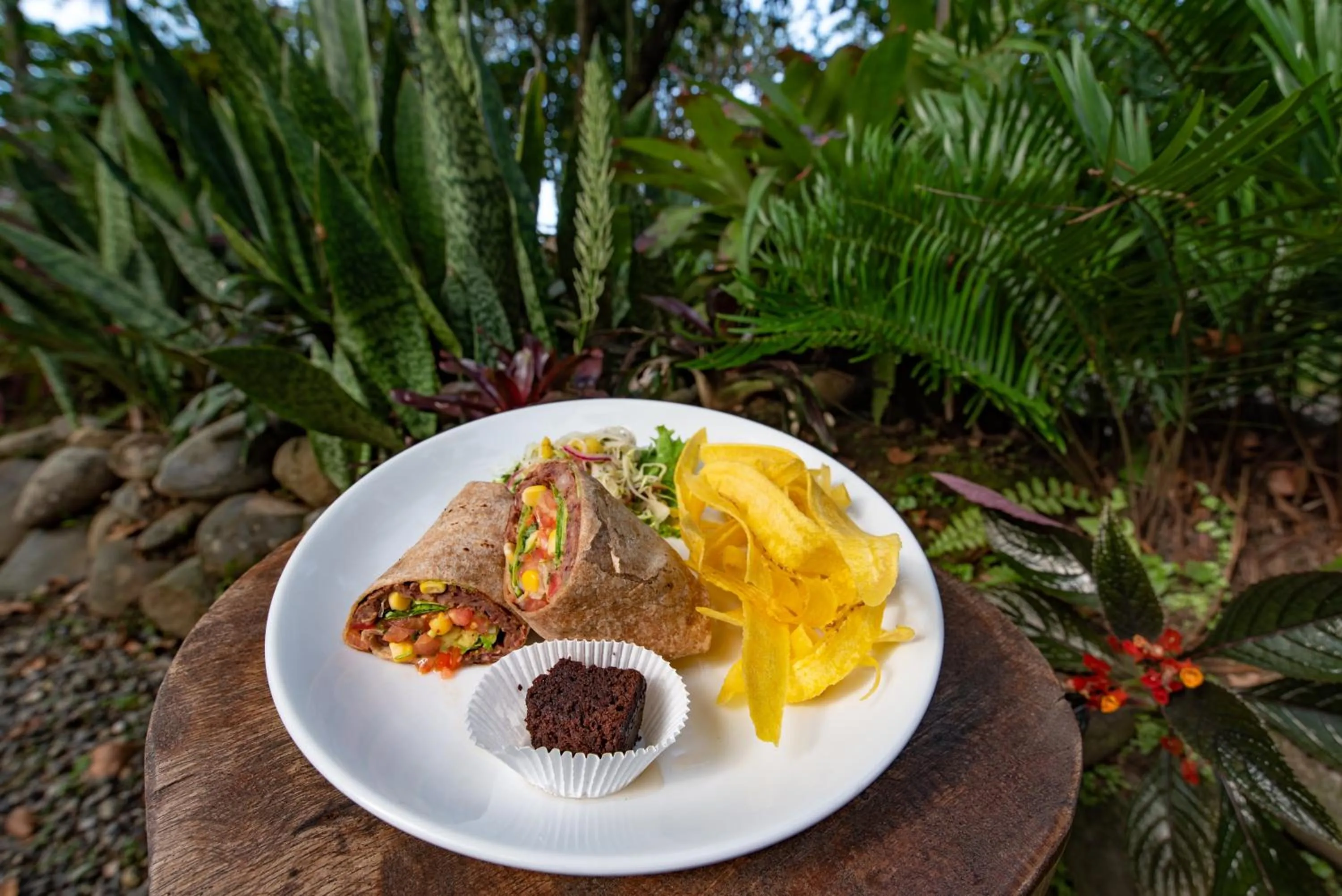 Lunch in Hotel Banana Azul - Adults Only