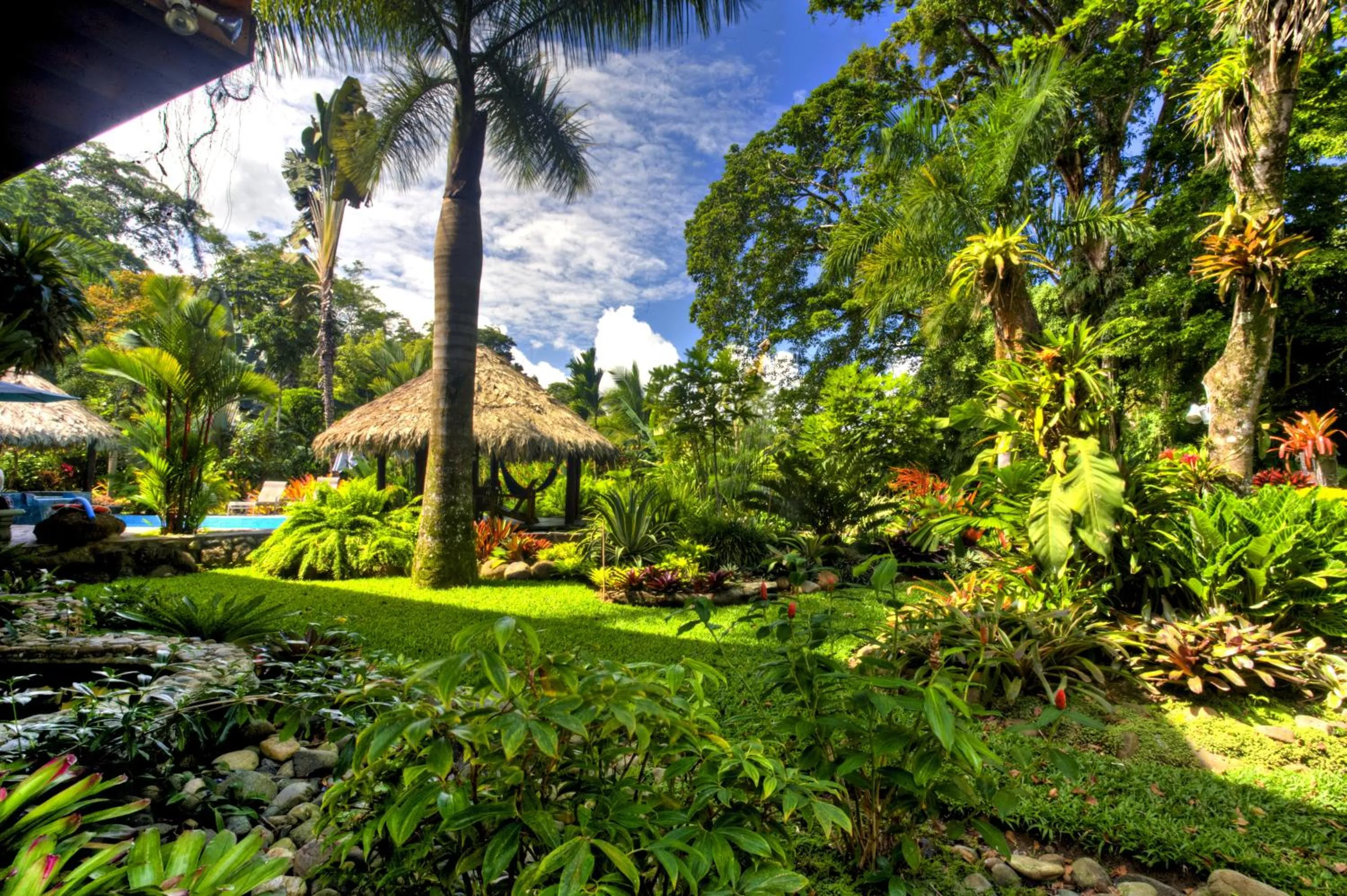 Garden in Hotel Banana Azul - Adults Only