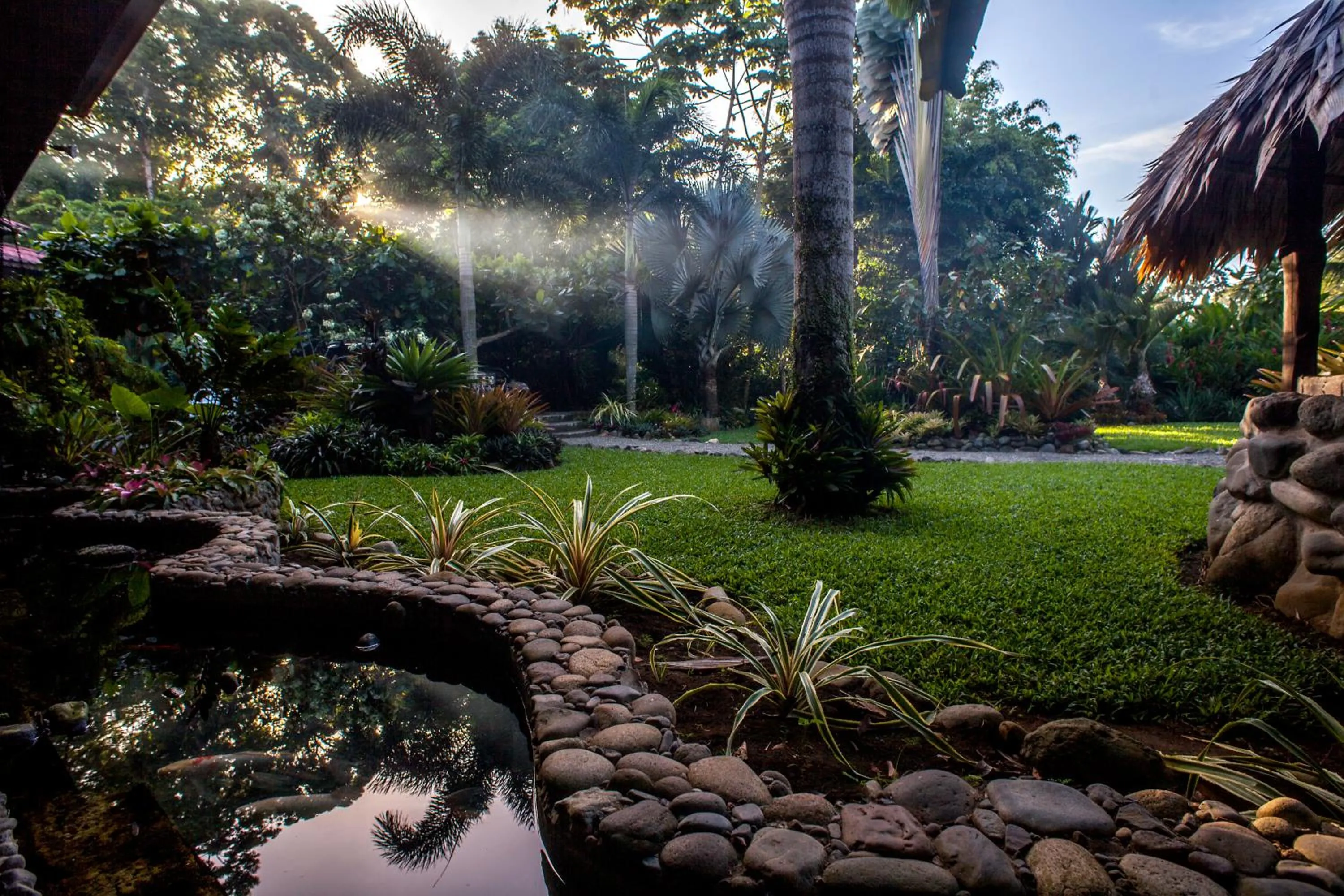 Garden in Hotel Banana Azul - Adults Only