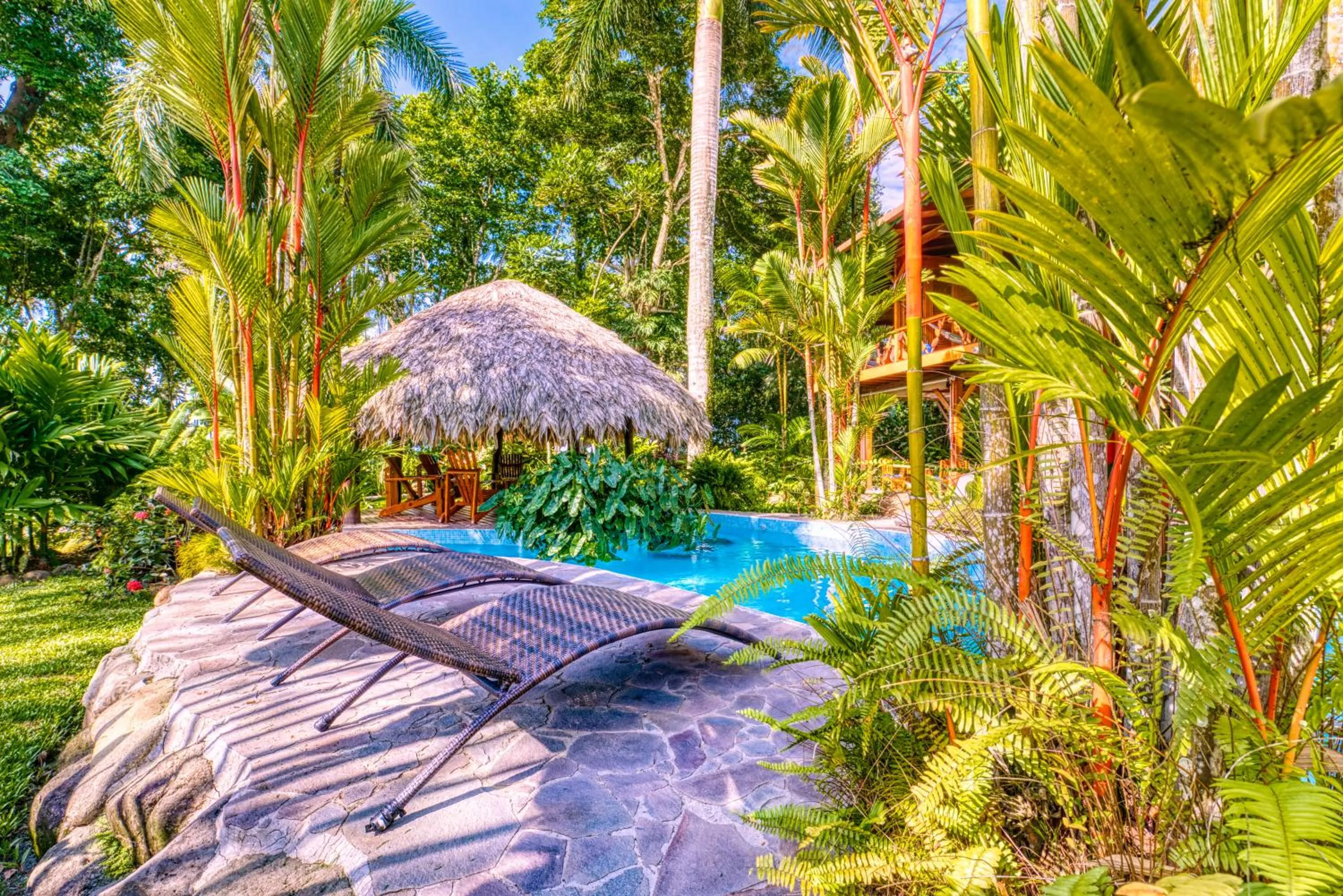 Pool view in Hotel Banana Azul - Adults Only