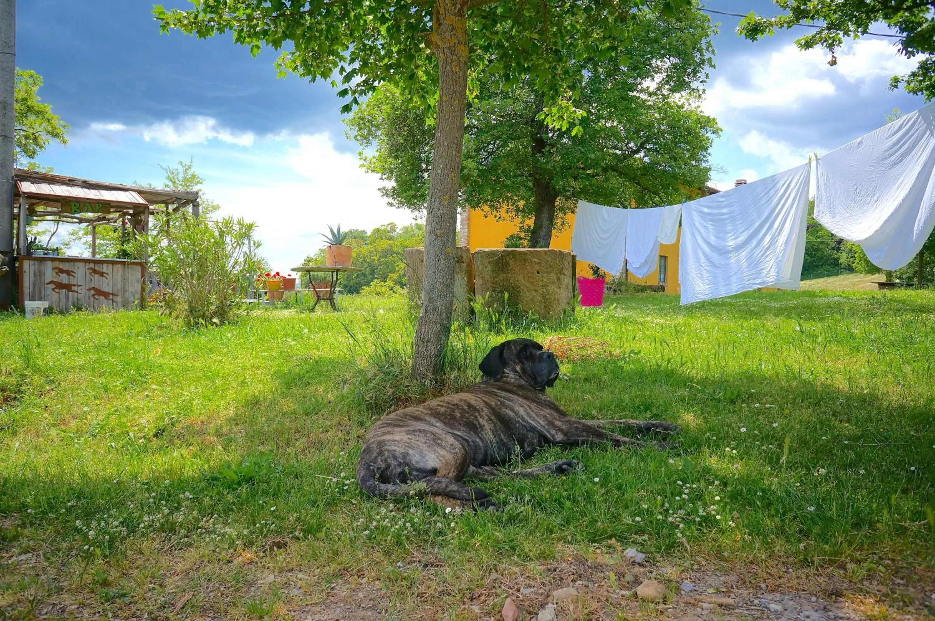 Garden view in B&B Parco dei cavalli