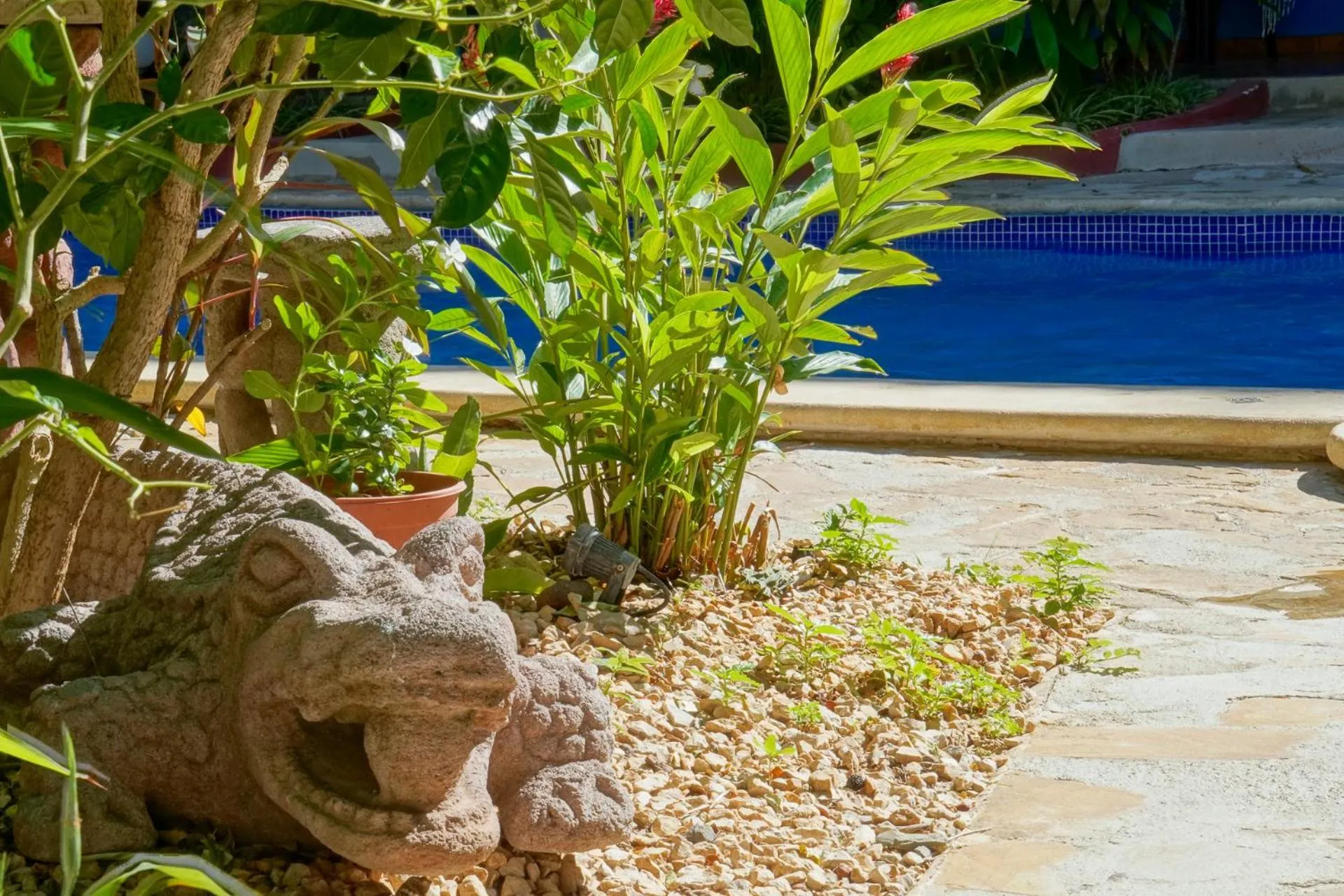 Day in Conchal Hotel