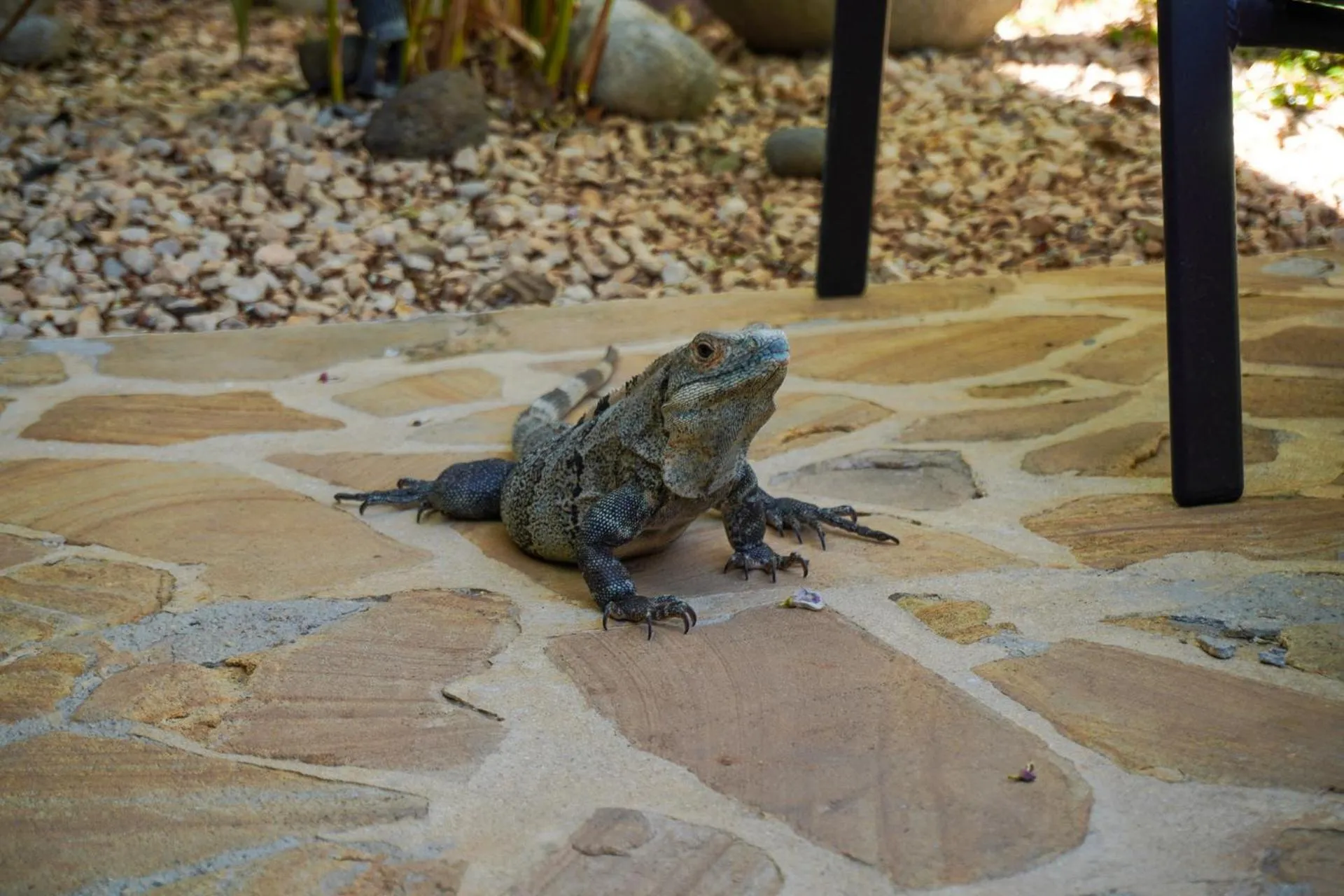 Day in Conchal Hotel