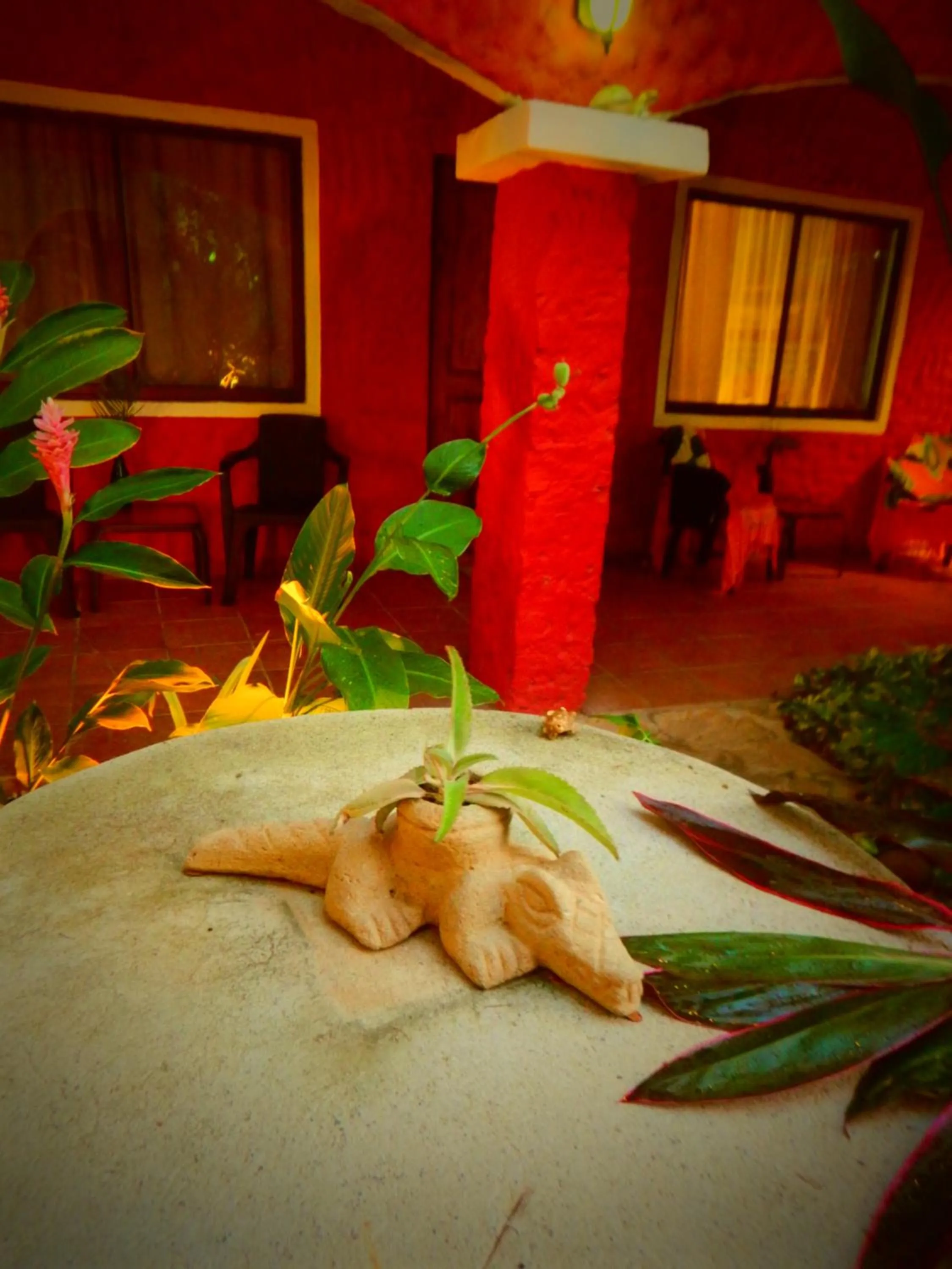 Night in Conchal Hotel