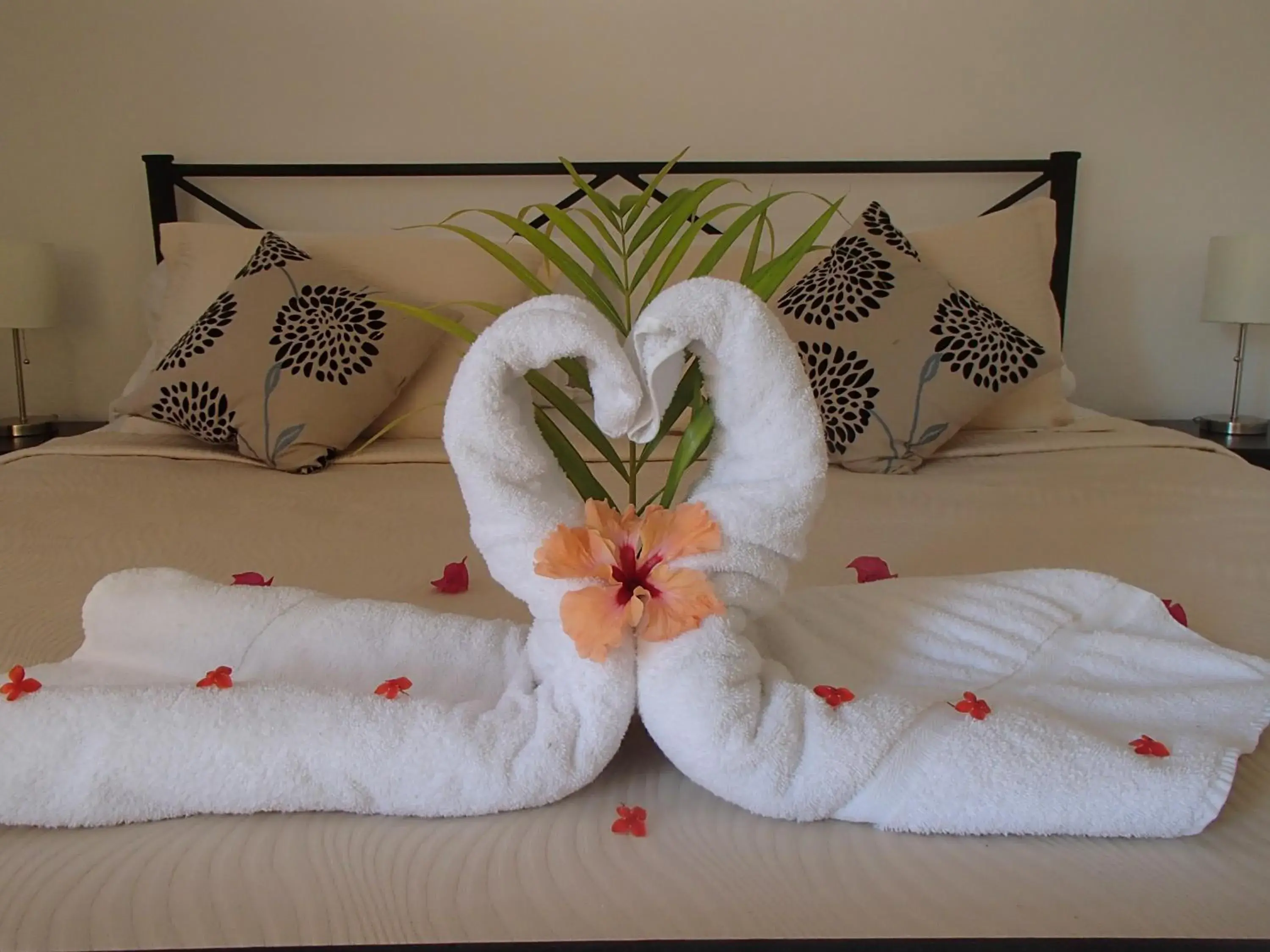 Double Room with Two Double Beds in Conchal Hotel Double Room with Two Double Beds in Conchal Hotel