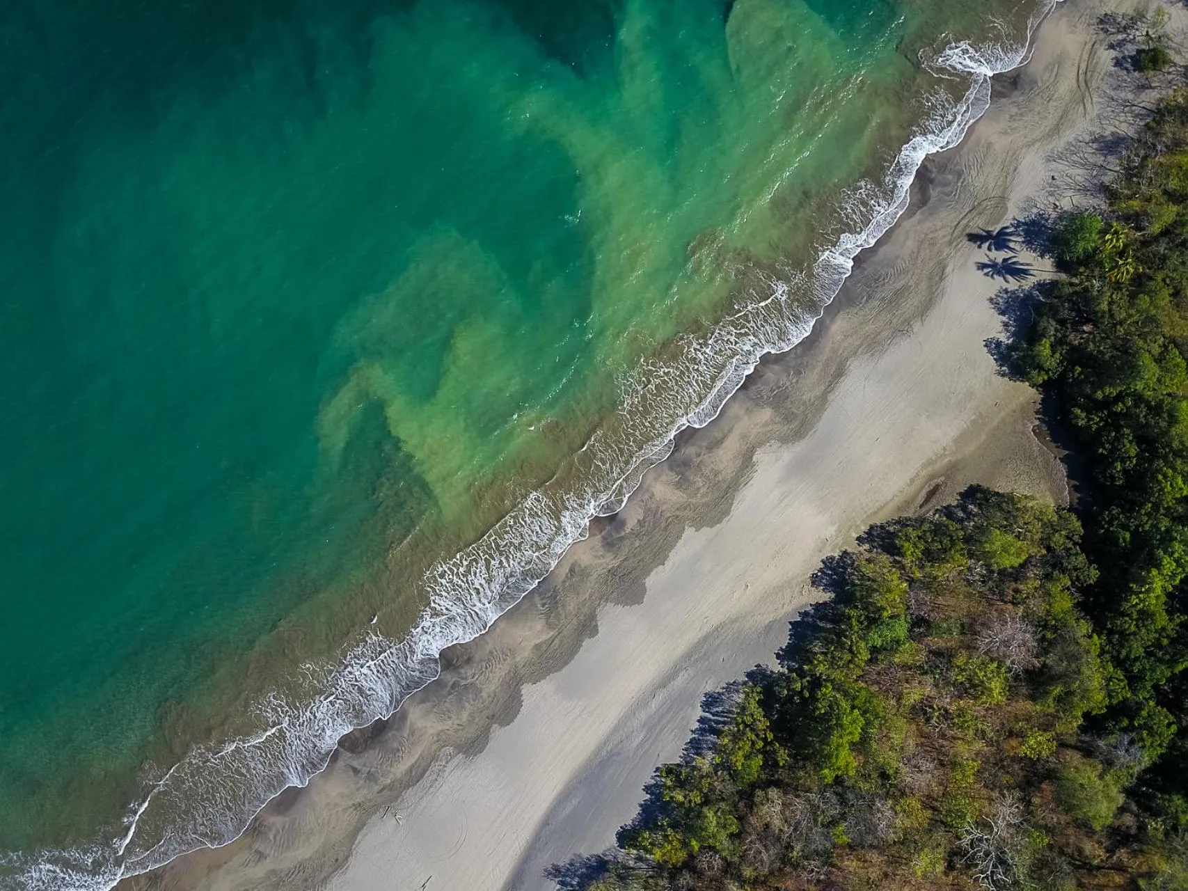 Beach in Conchal Hotel