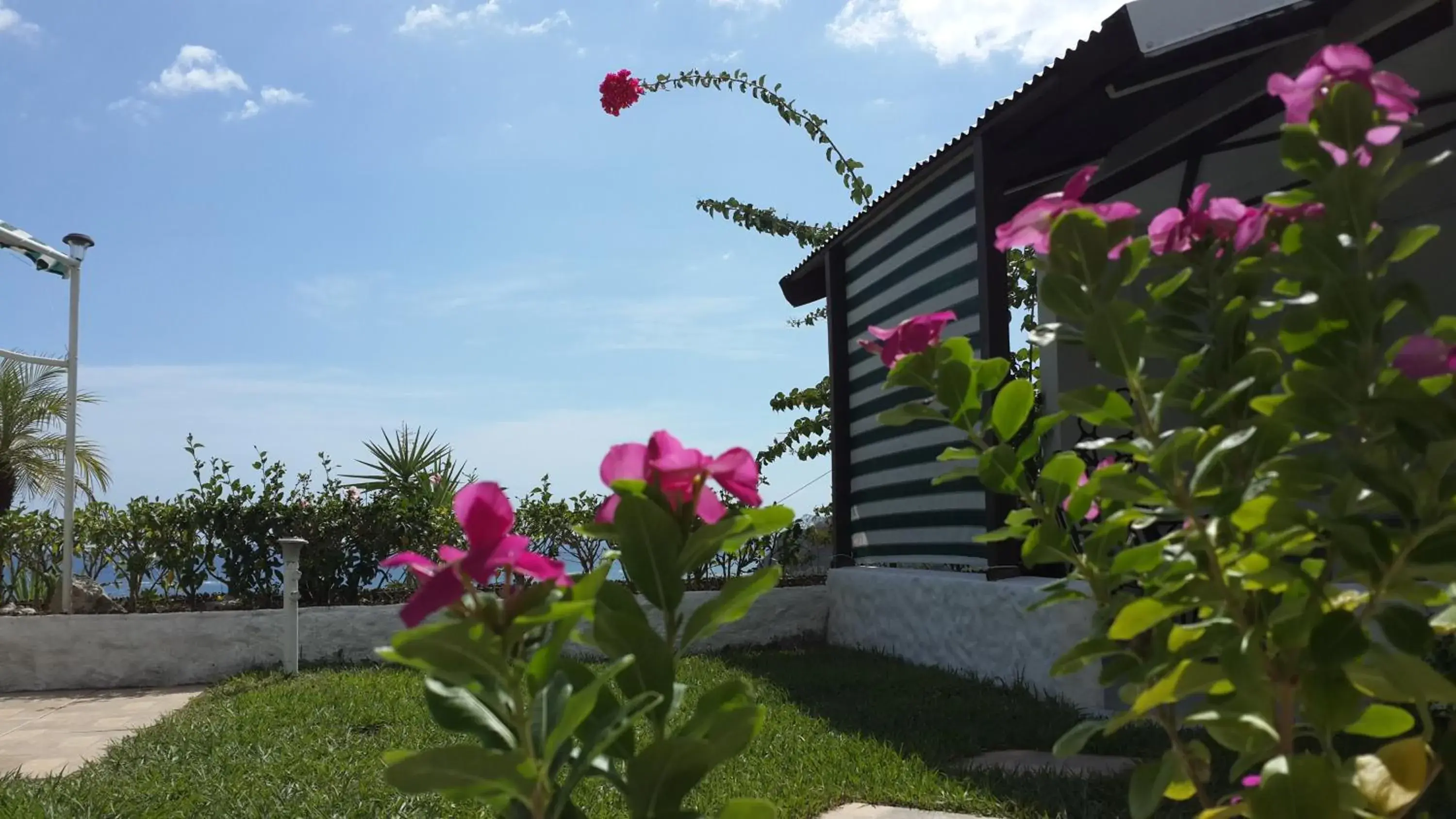 Apartment with Sea View #3 in Barracuda apartments Apartment with Sea View #3 in Barracuda apartments