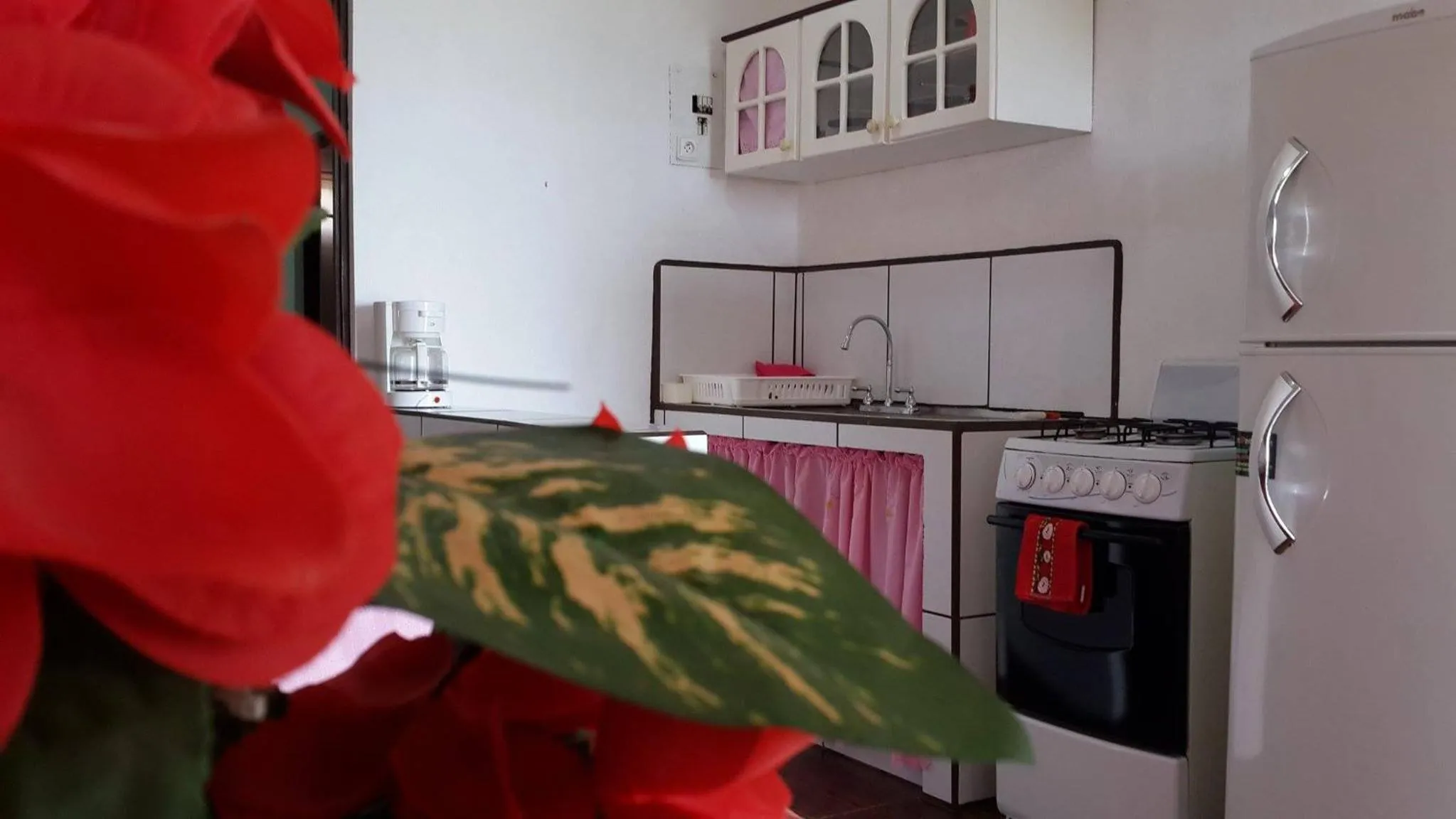 Kitchen or kitchenette in Barracuda apartments