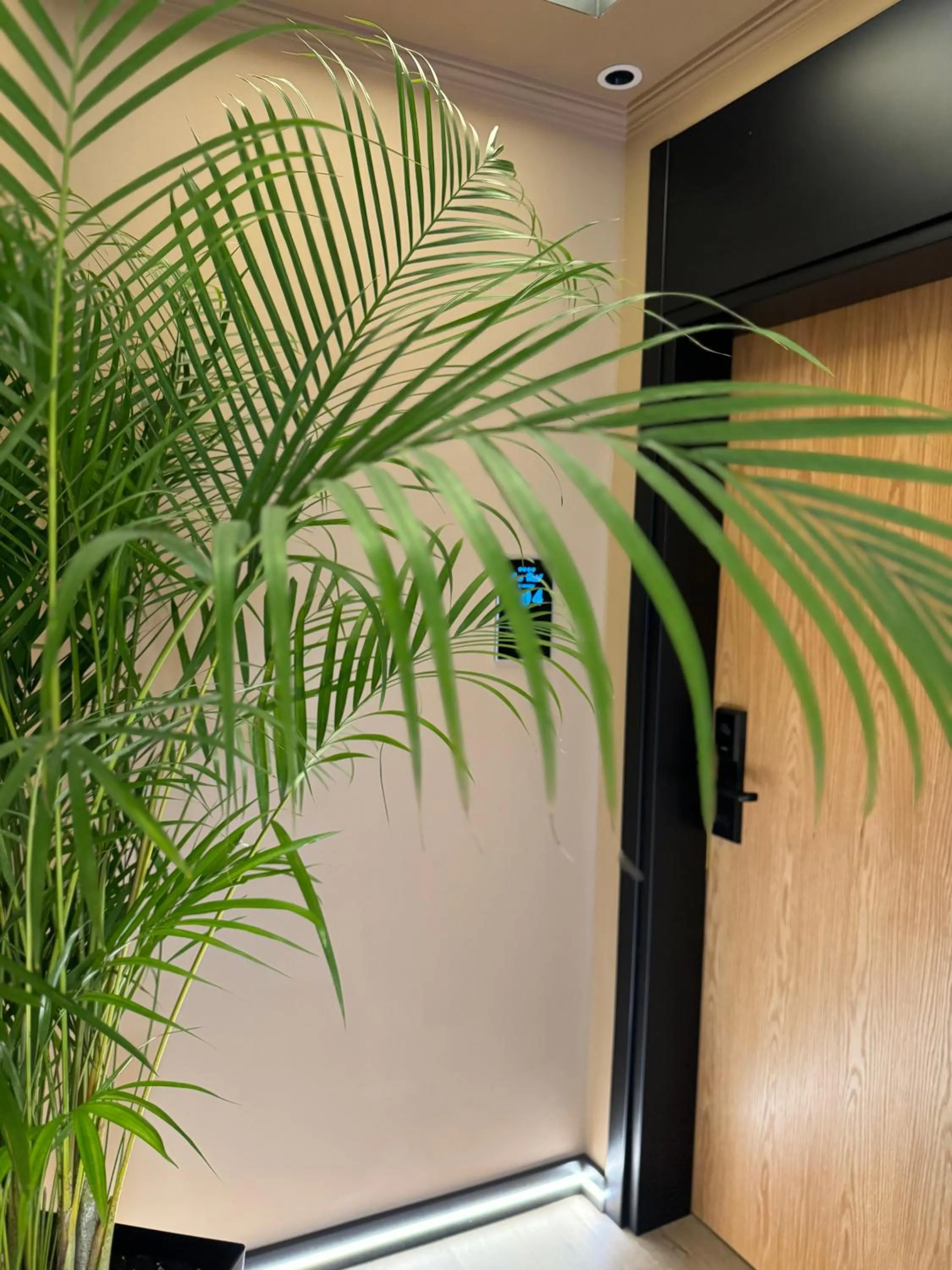 Property building in Hotel Joni Premium