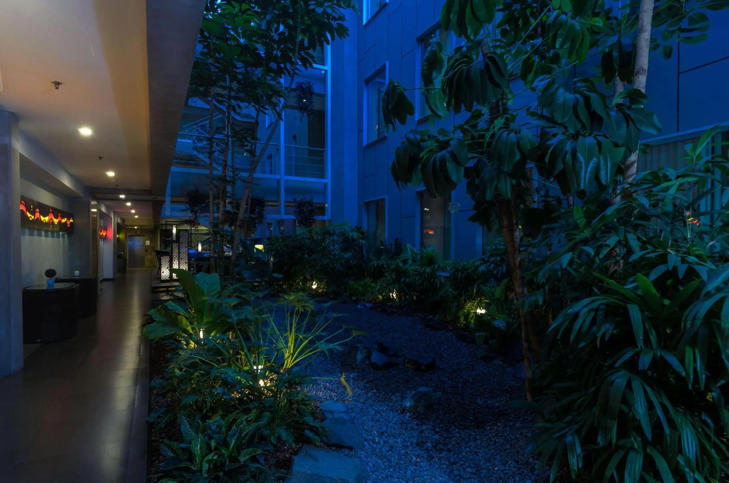 Garden in Isla Verde Hotel