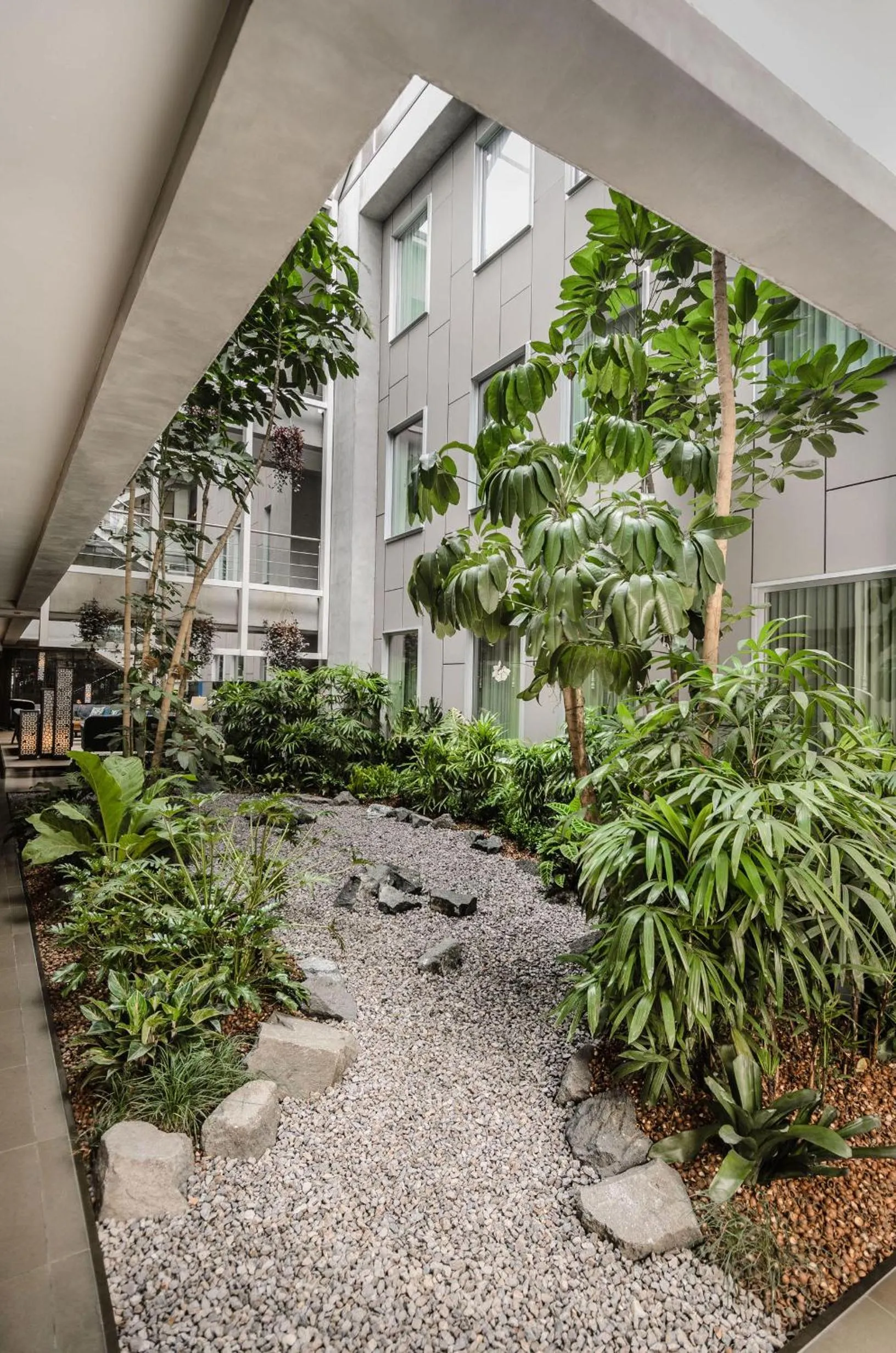 Garden in Isla Verde Hotel