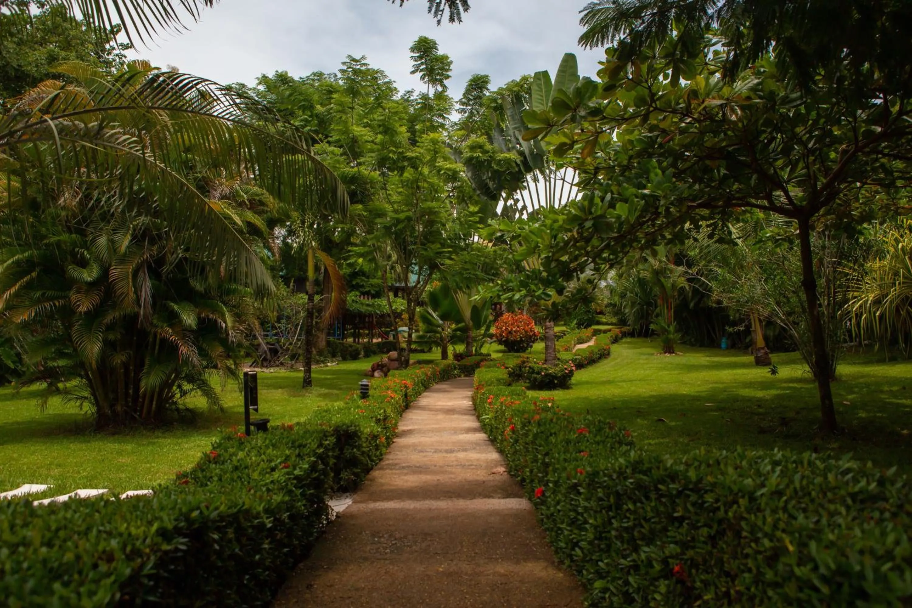 Garden in Leyenda Boutique Hotel & Spa